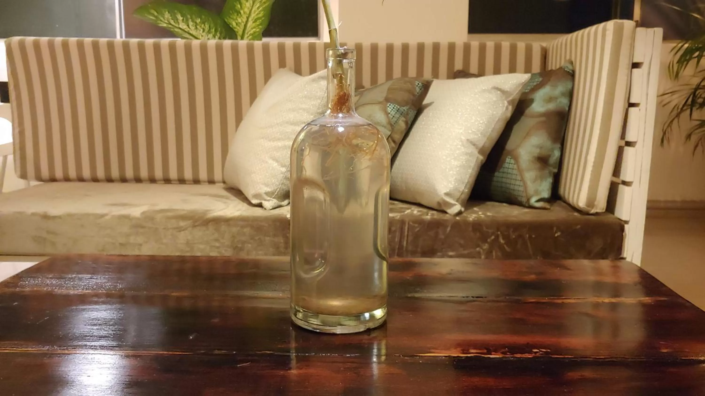 Communal lounge/ TV room in Pepe's House Guayaquil I Self Check-In MicroHotel