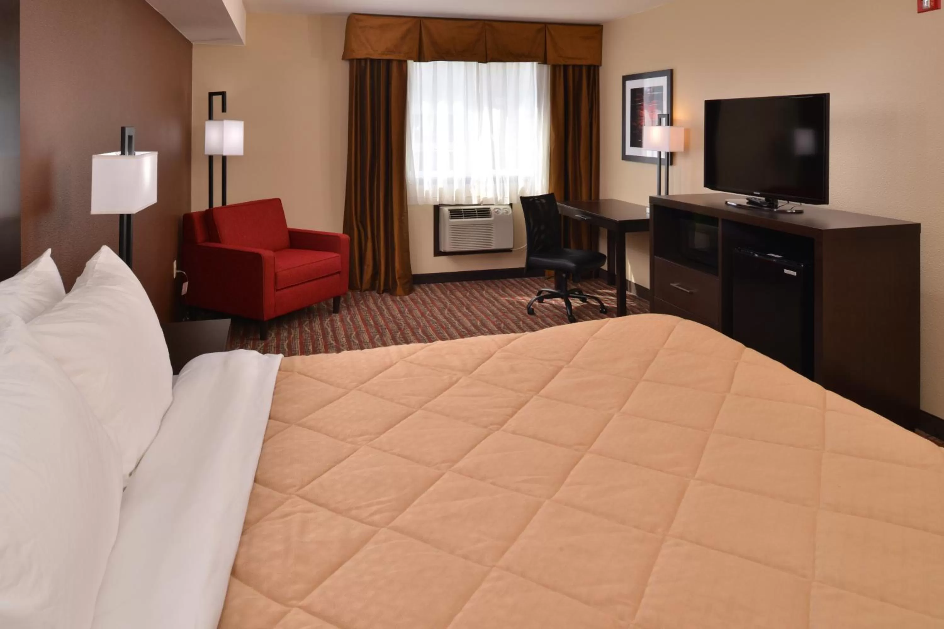 Photo of the whole room, Bed in Quality Inn & Suites Tacoma - Seattle