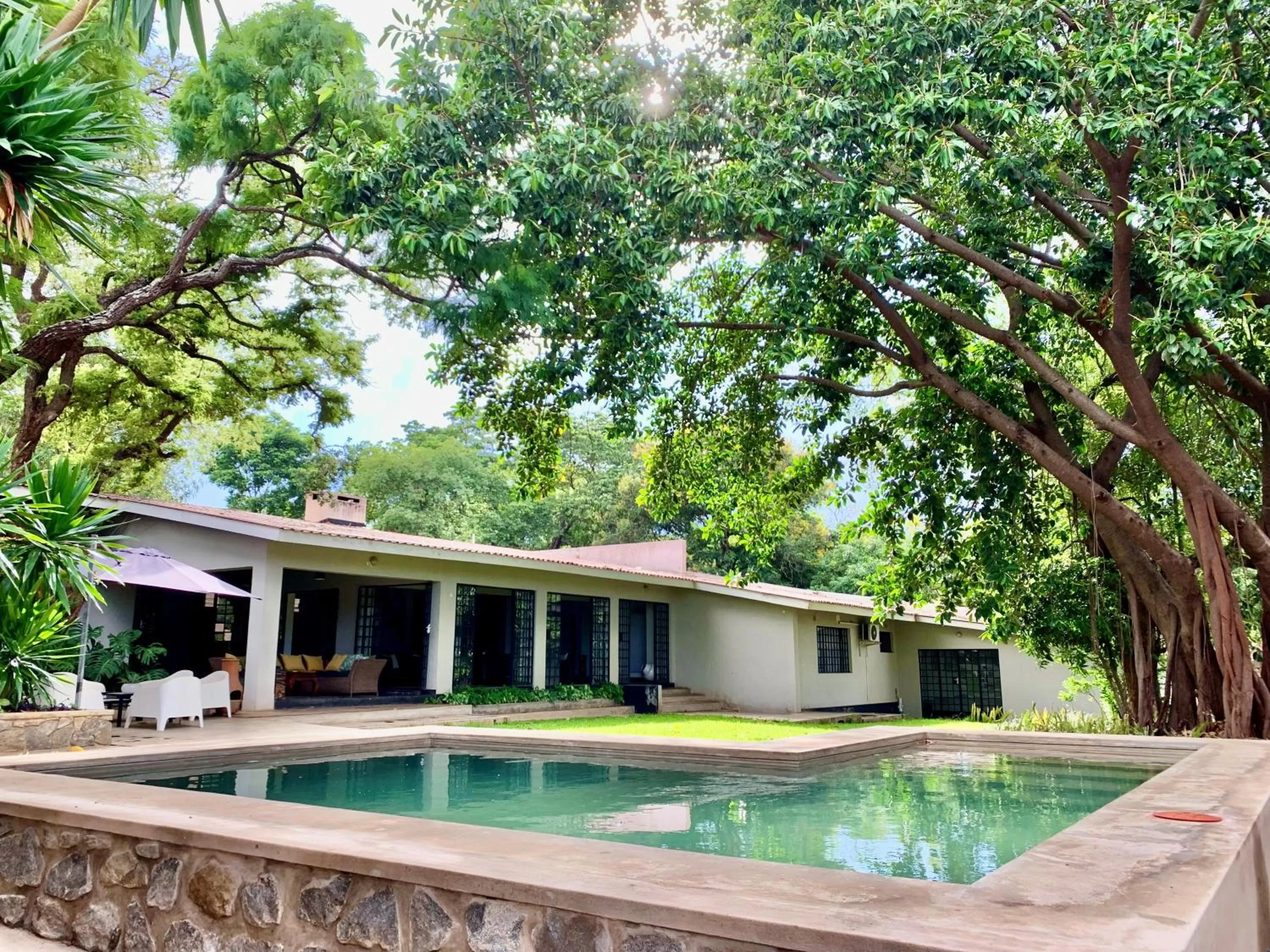 Property building, Swimming Pool in Mitengo House