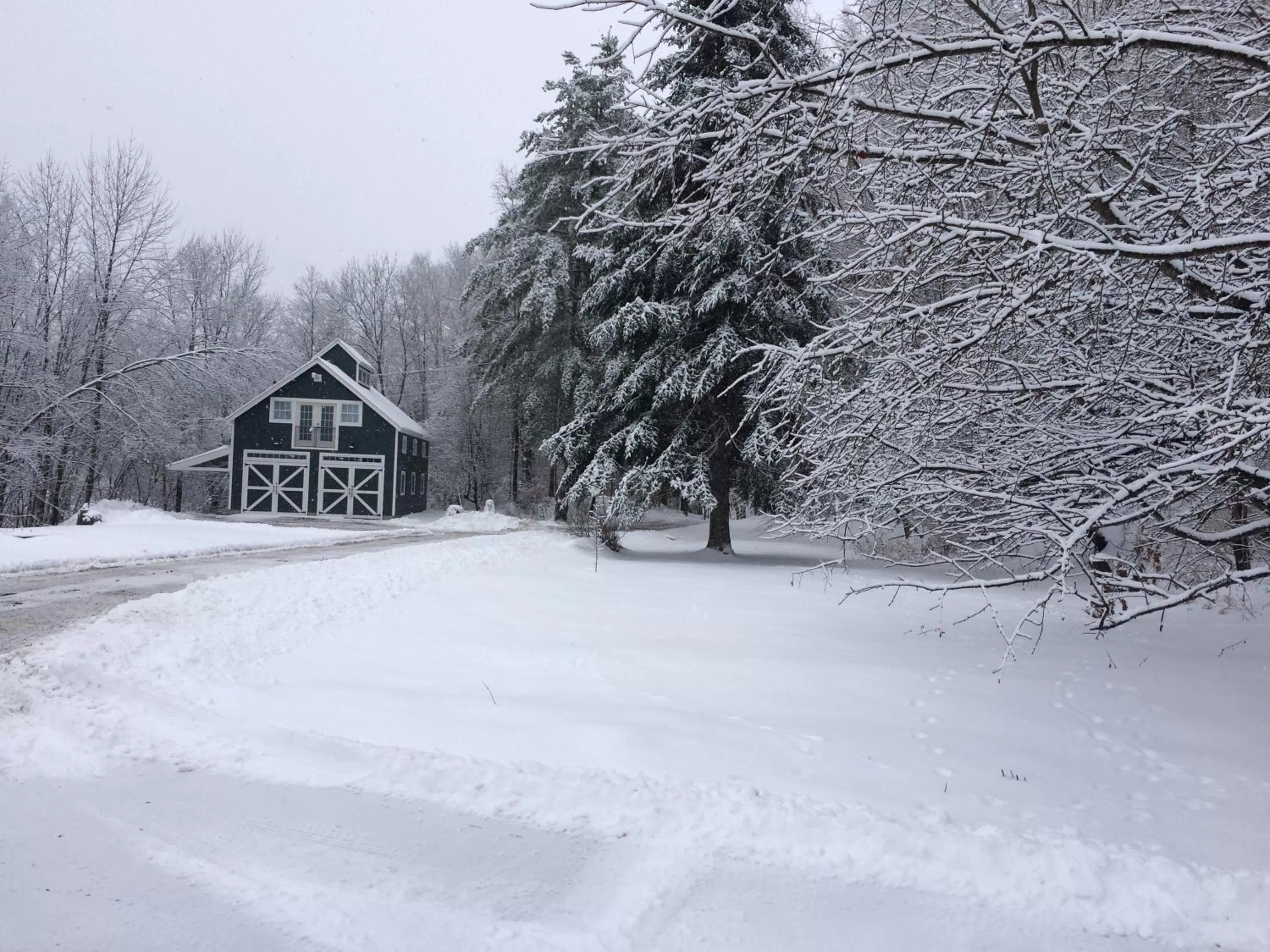Property building, Winter in The Birch Grove