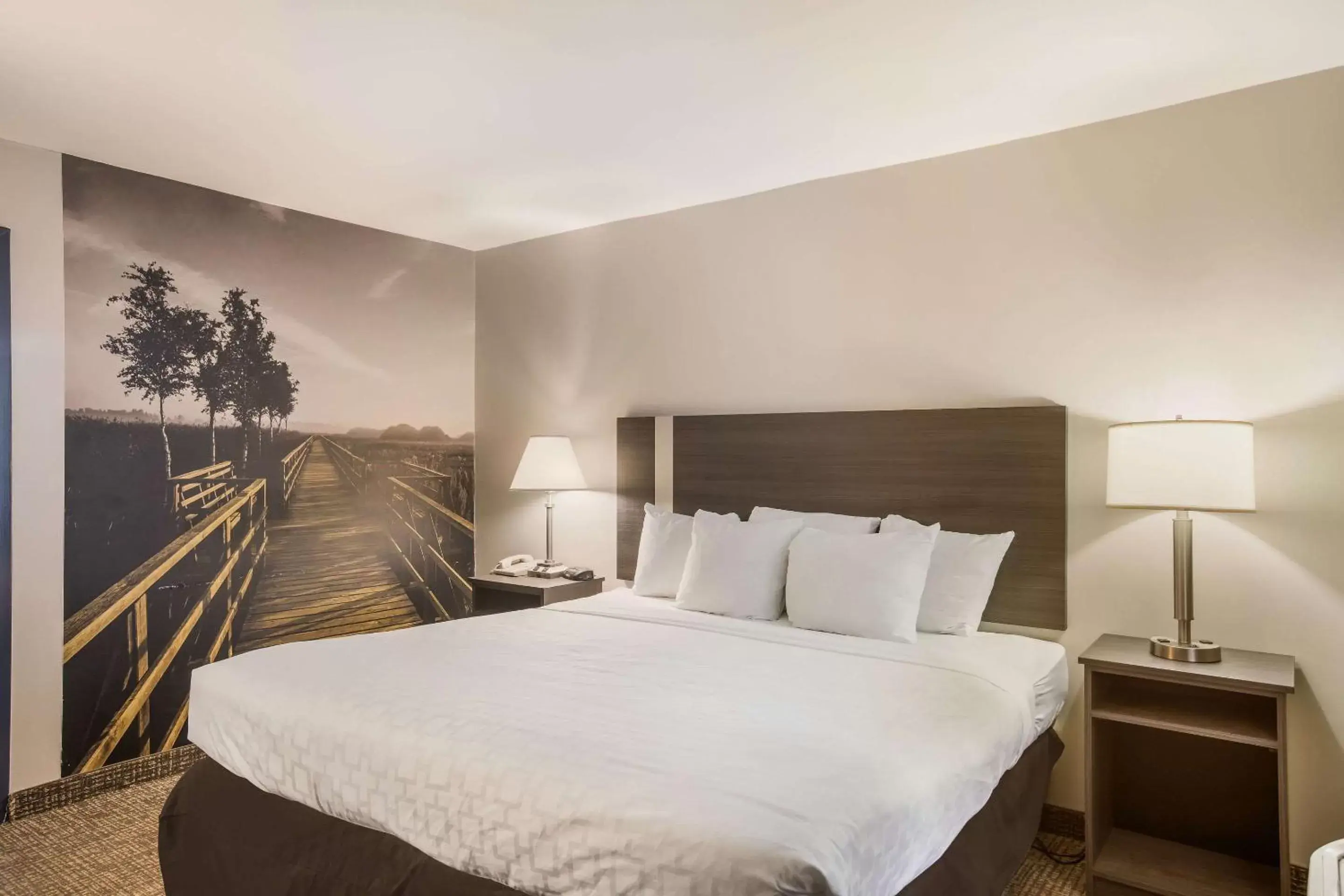 King Room - Non-Smoking in Clarion Pointe Forsyth I-75 King Room - Non-Smoking in Clarion Pointe Forsyth I-75