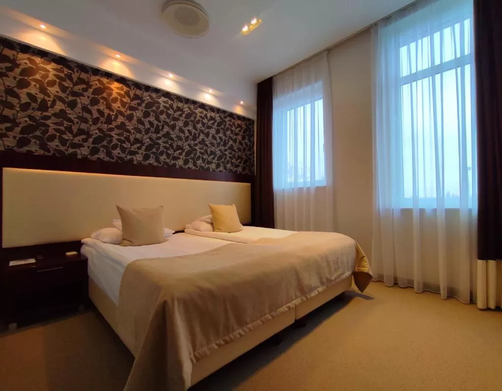 Deluxe Double or Twin Room in Hotel Zamek Centrum