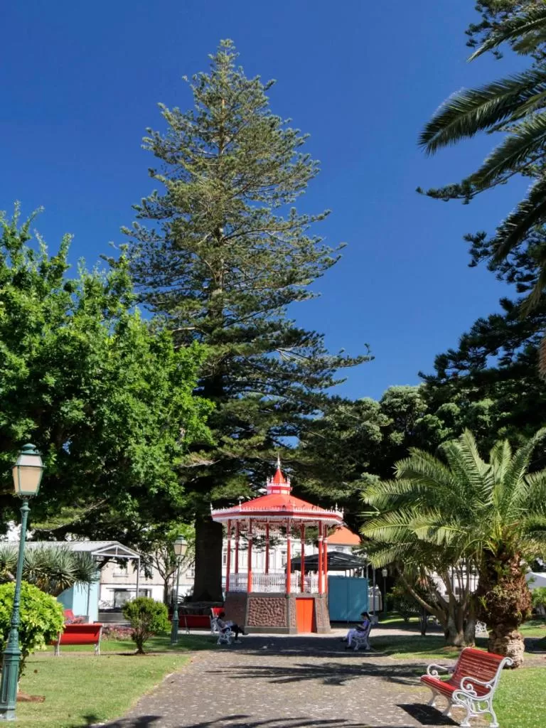 Faial Marina Apartments 1