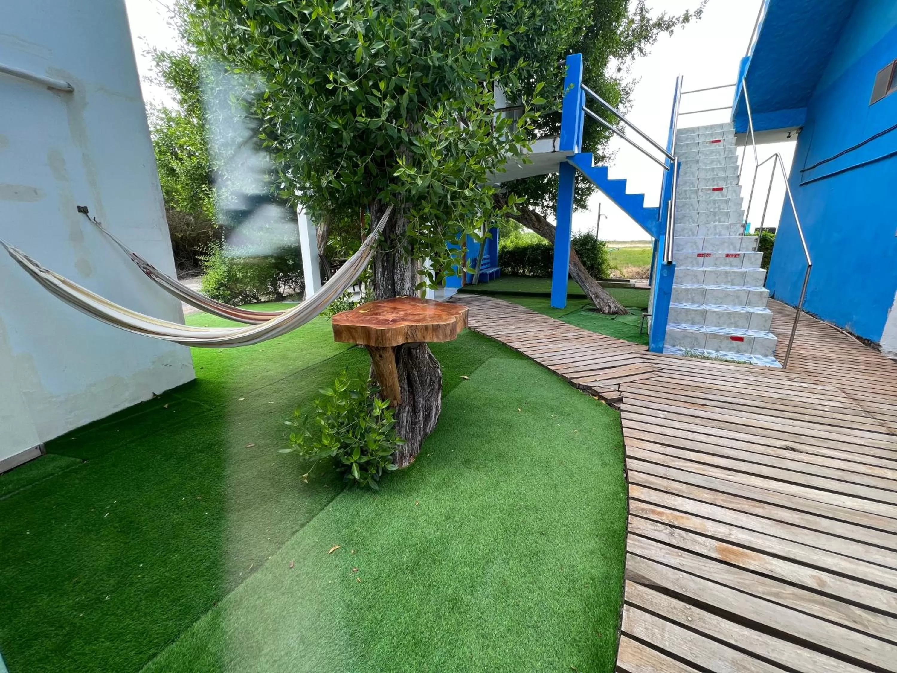 Garden view in Hotel La Jungla