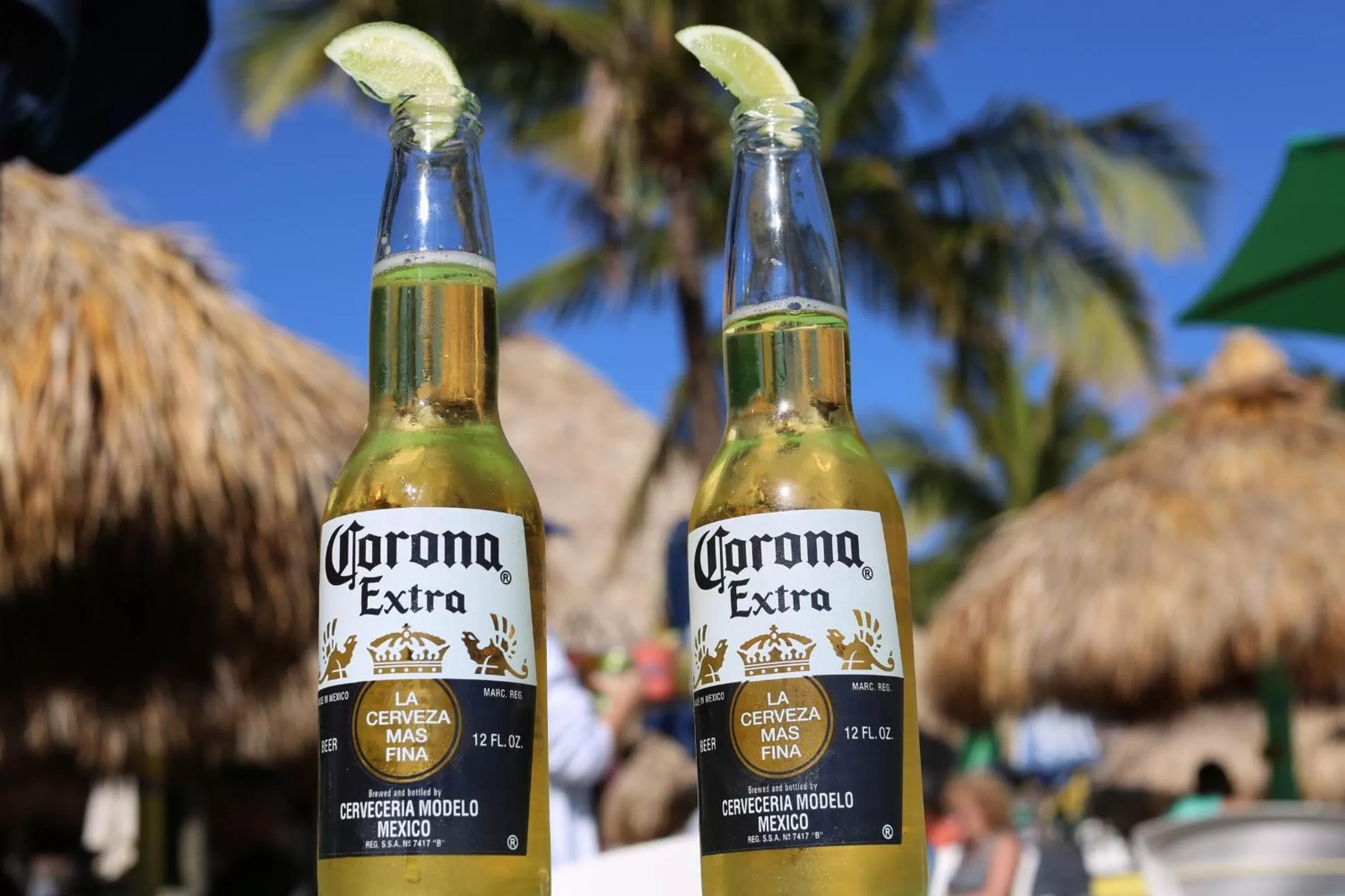 Drinks in Gilbert's Resort & Marina