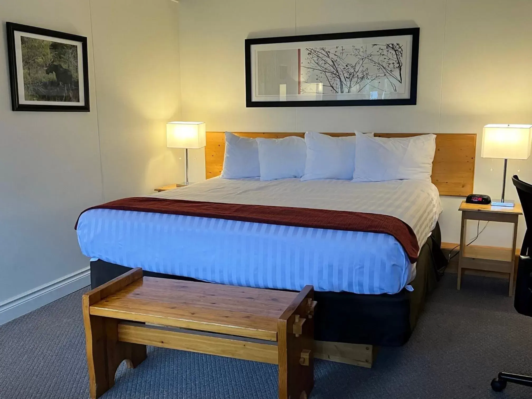 Standard King Room in Lakeview Motel Standard King Room in Lakeview Motel