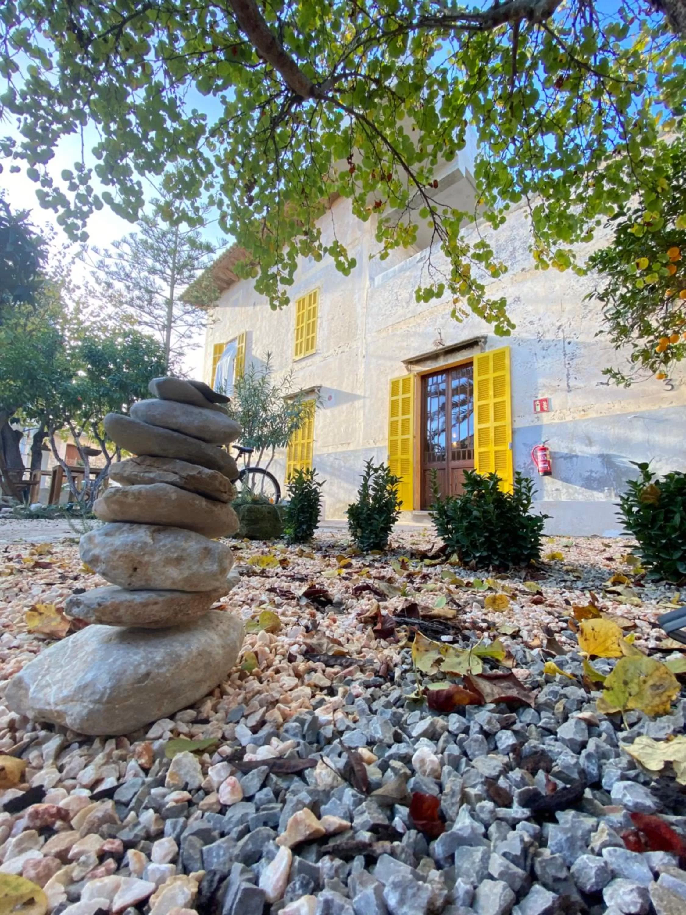 Patio in Hotel Boutique Can Pocovi