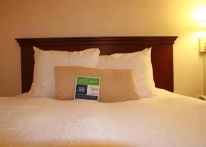 Standard King Non-Smoking with Two Person Sofa Bed in Quality Inn & Suites Searcy I-67