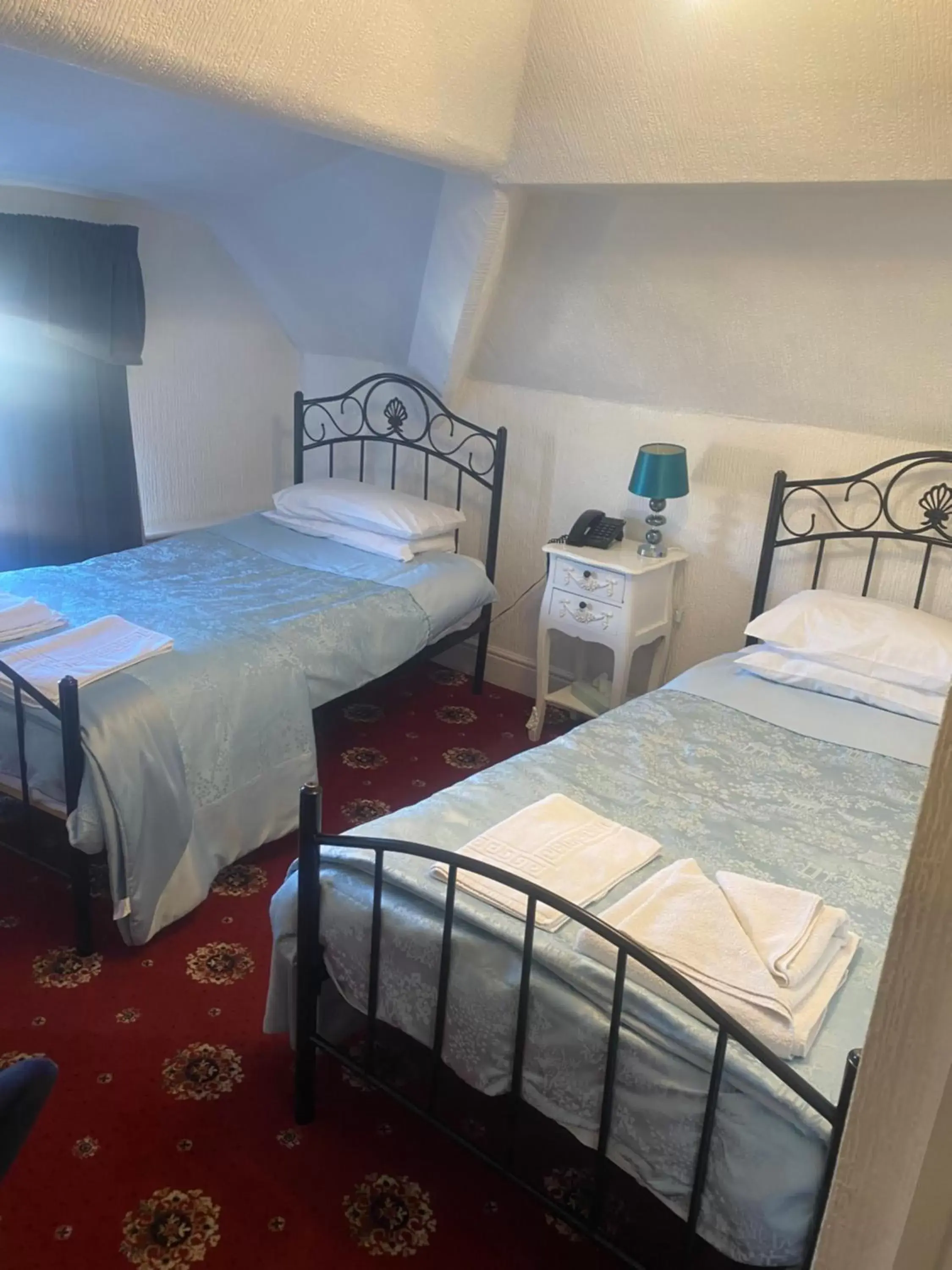 Twin Room with Bathroom in Parlors Hall Hotel Twin Room with Bathroom in Parlors Hall Hotel