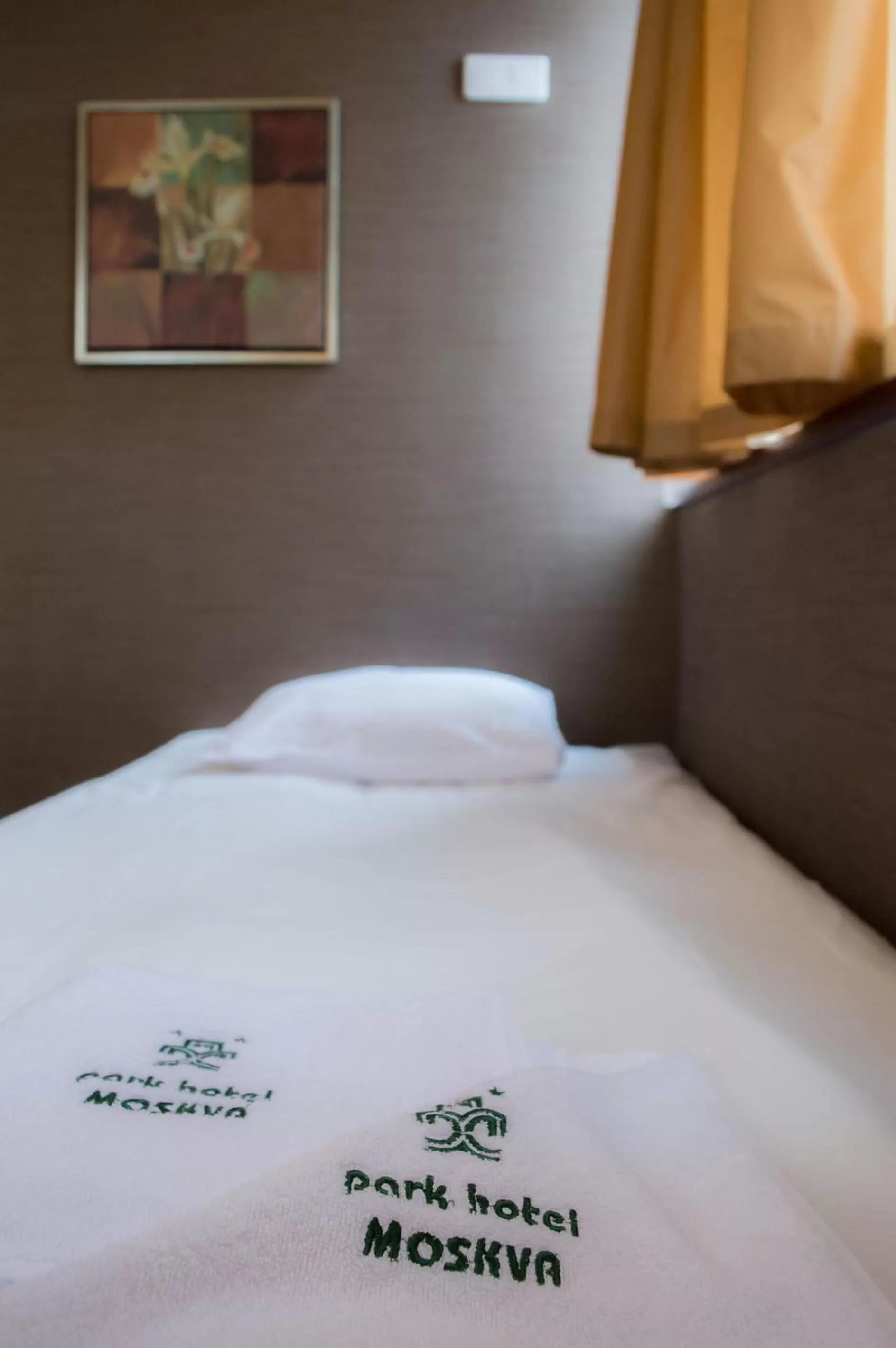 Bed in Park Hotel Moskva