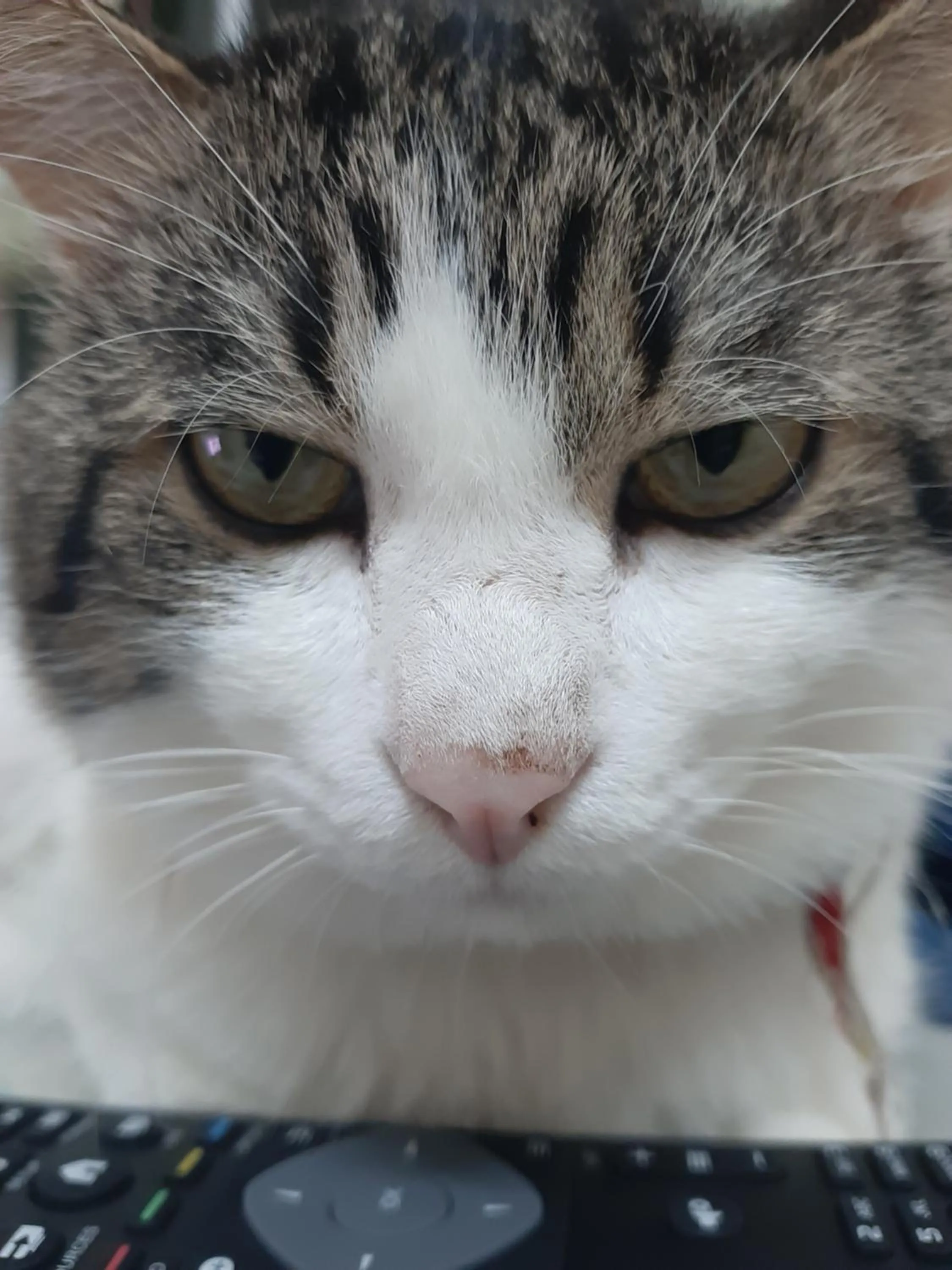 Vanlisut Hotel Ngamwongwan