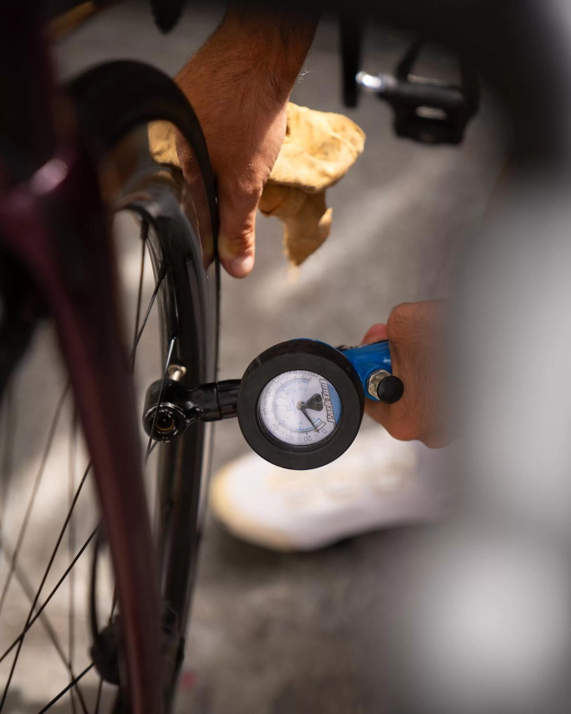 Sports in La Genzianella Bormio