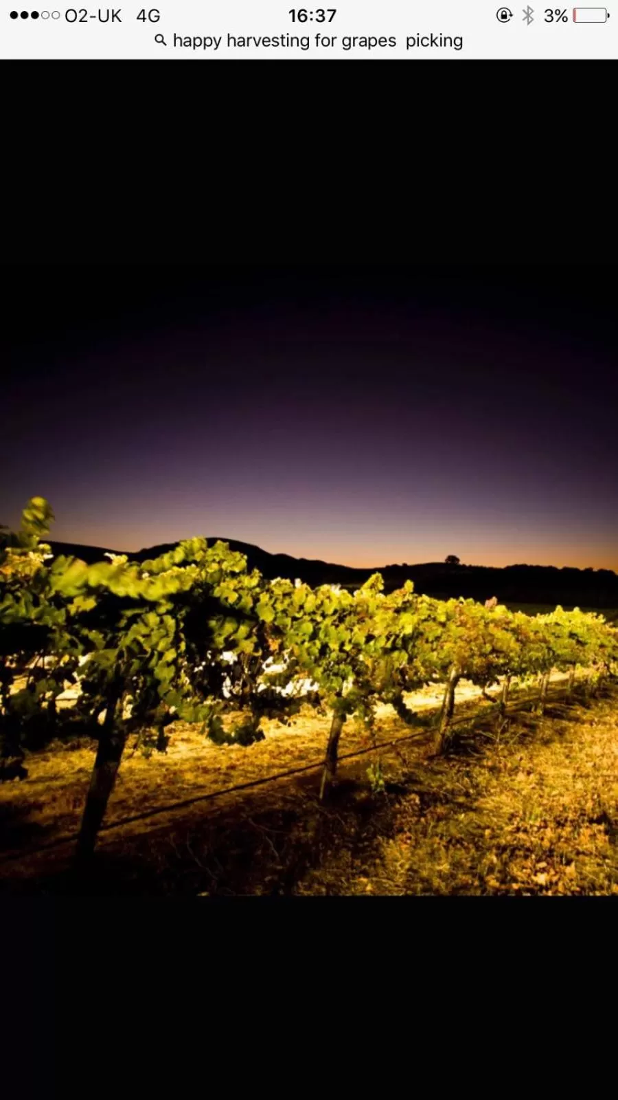 Other in Villa Bella Boutique Hotel