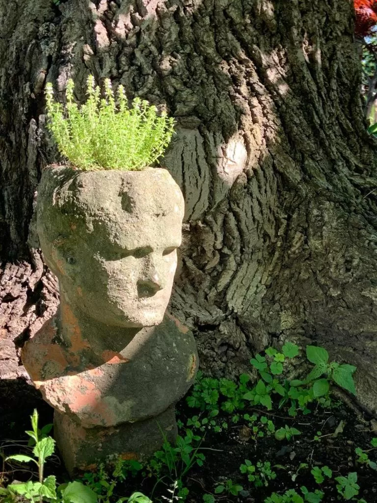 Garden in Woodbourne Inn