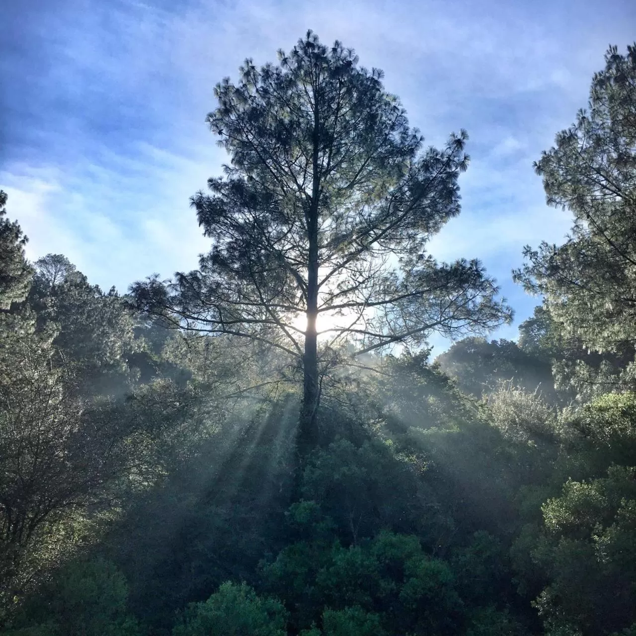 Natural landscape in CORTIJO LA CASONA & Bungalow al Pie de la Montaña