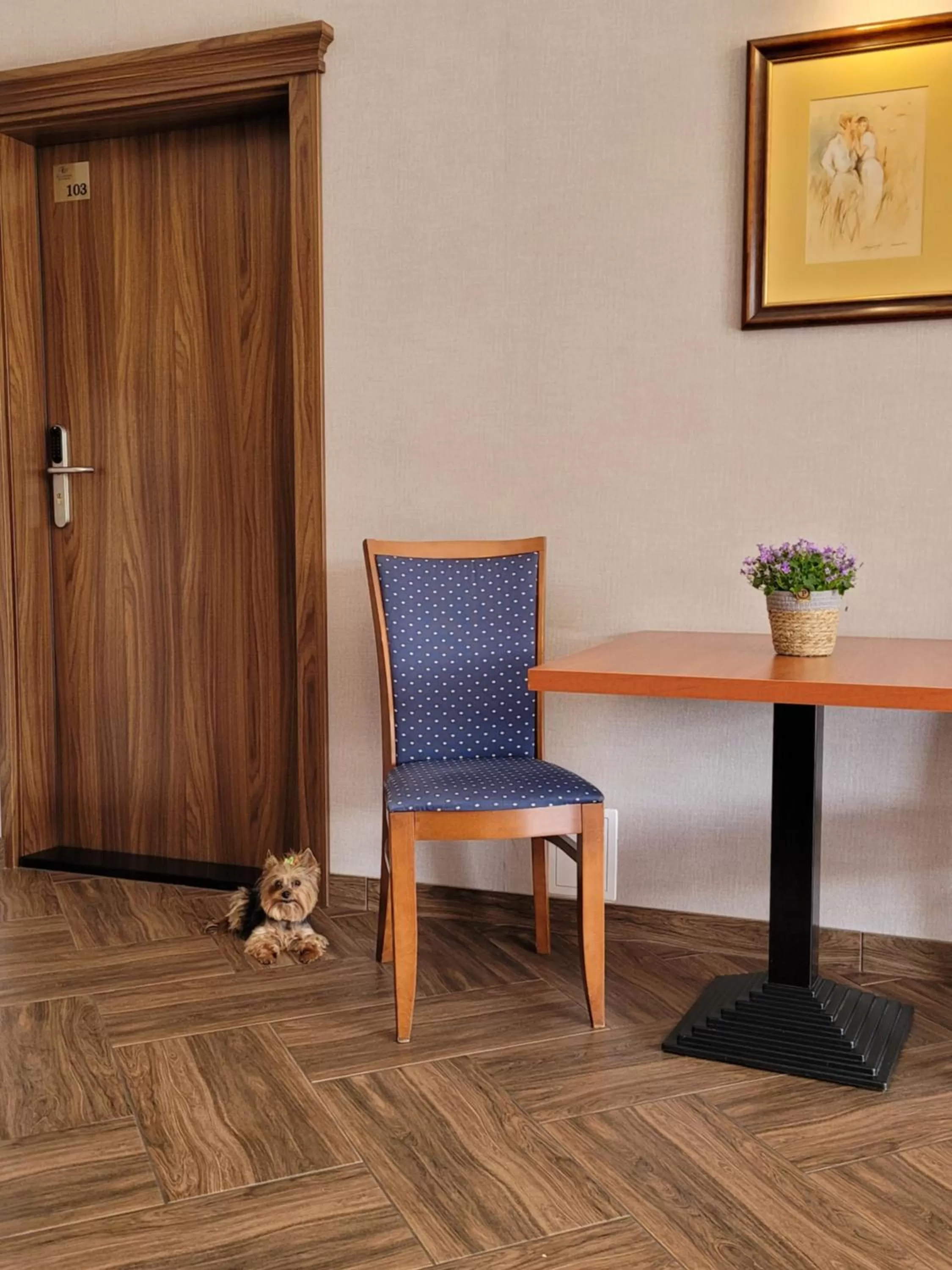 Virgo B&B Biznes Rumia