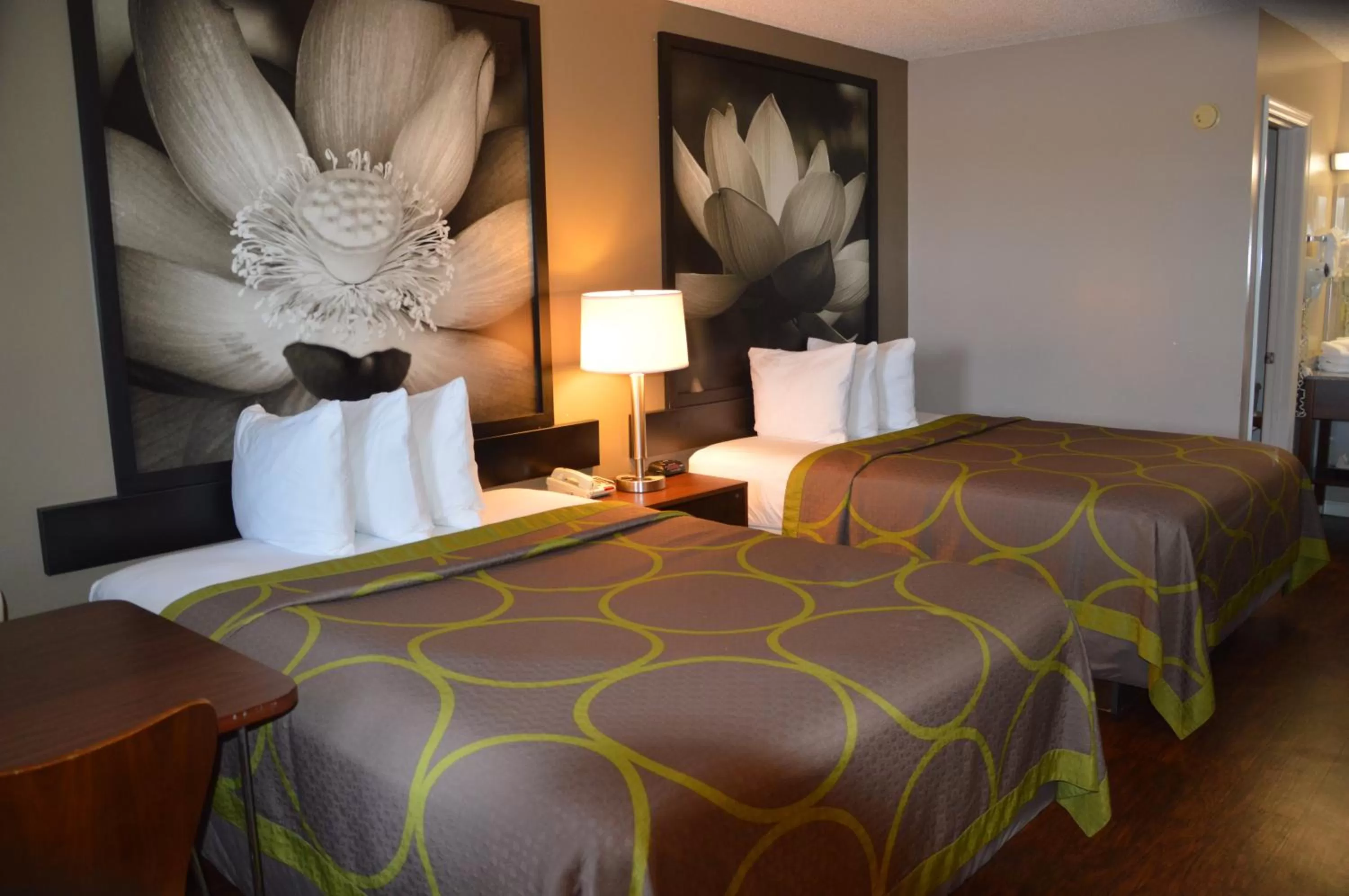 Bed in Super 8 by Wyndham Madison