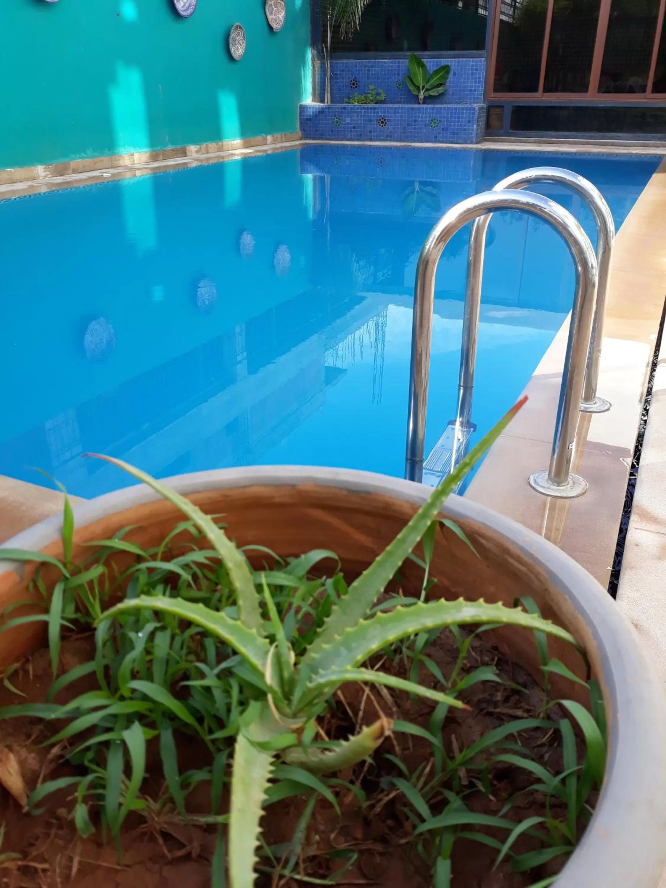 Swimming Pool in Riad Passiflora