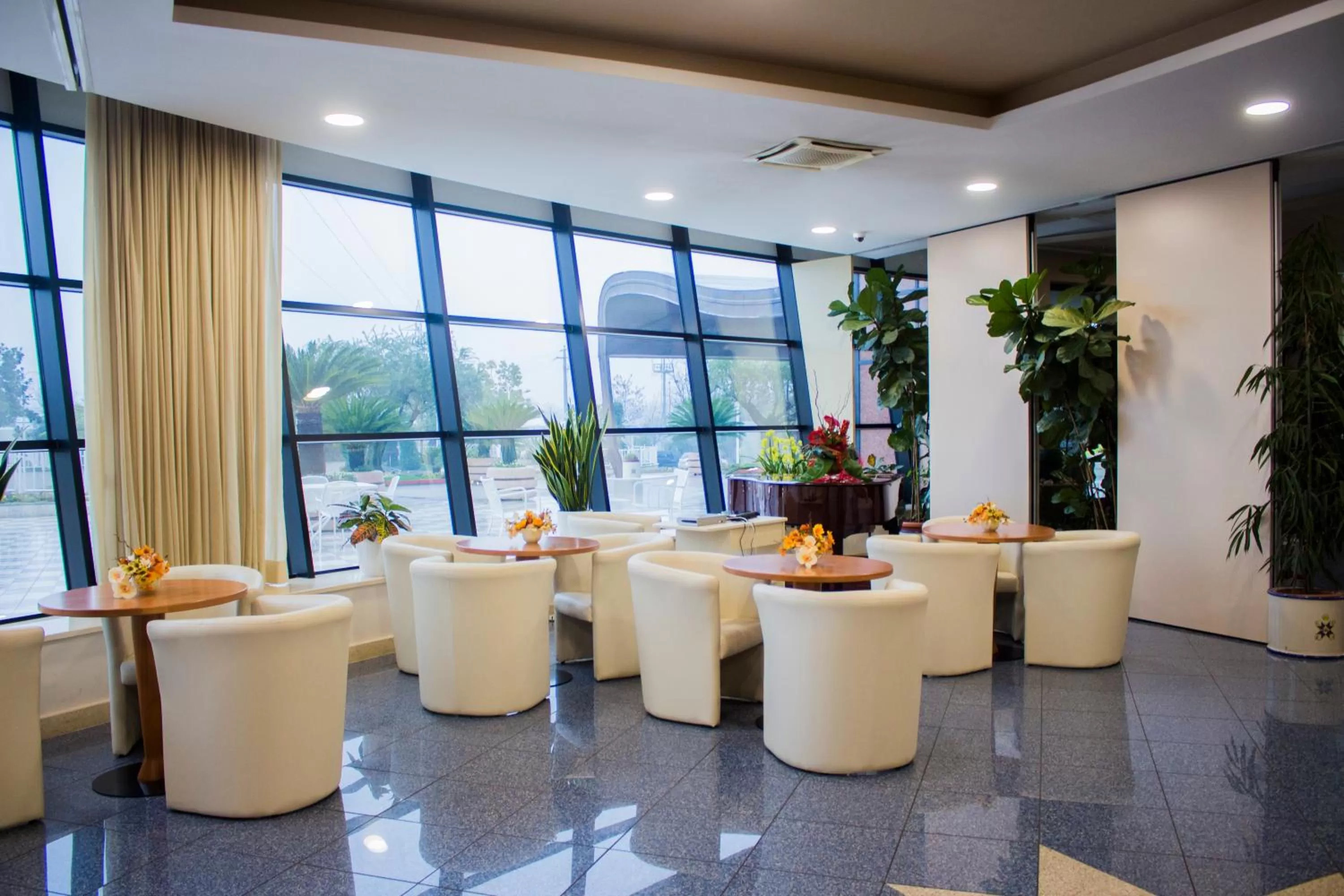 Lounge or bar in Edra Palace Hotel & Ristorante