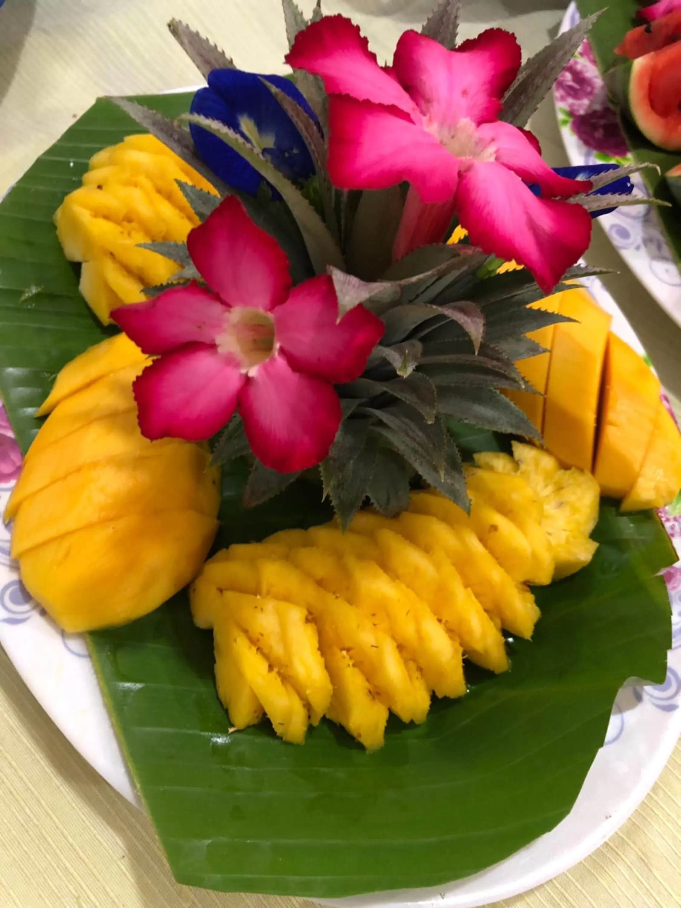 The Mountain View Hat Sai Ri Resort