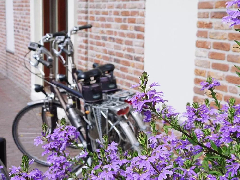 Area and facilities, Other Activities in Hotel Huys van Heusden