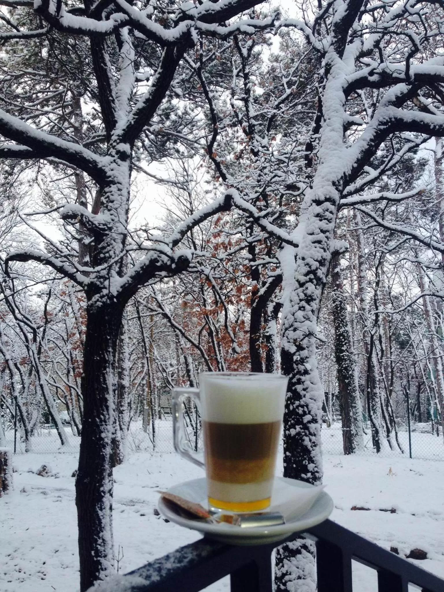 Natural landscape, Winter in Hotel Therapia