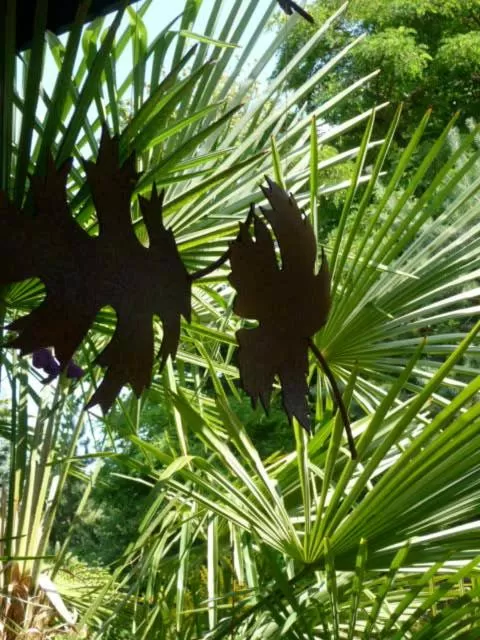 Garden in Magnolia Petal