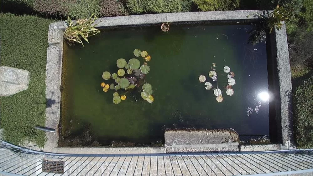 Bird's eye view in Hotel Rural Quinta das Quintães