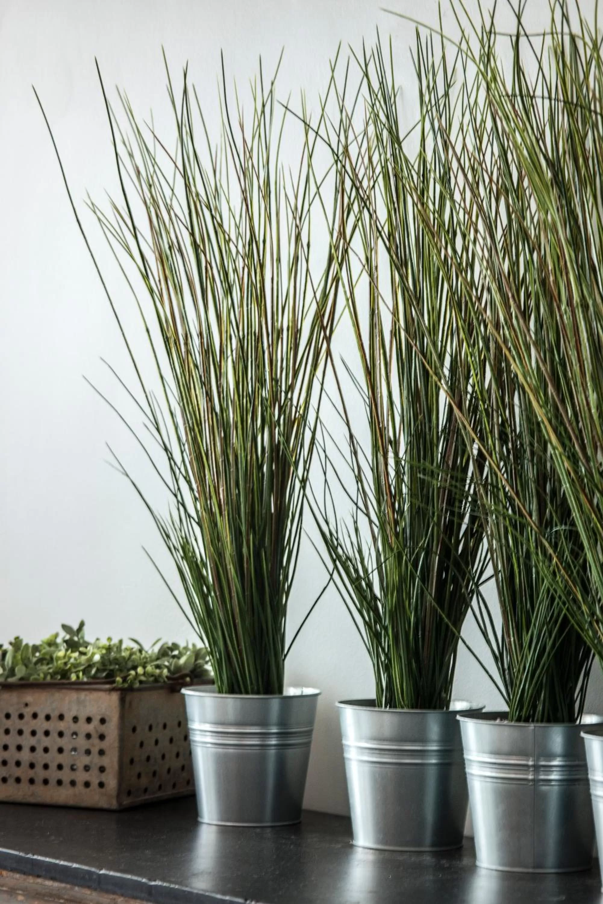 Decorative detail in Hotel Bondi