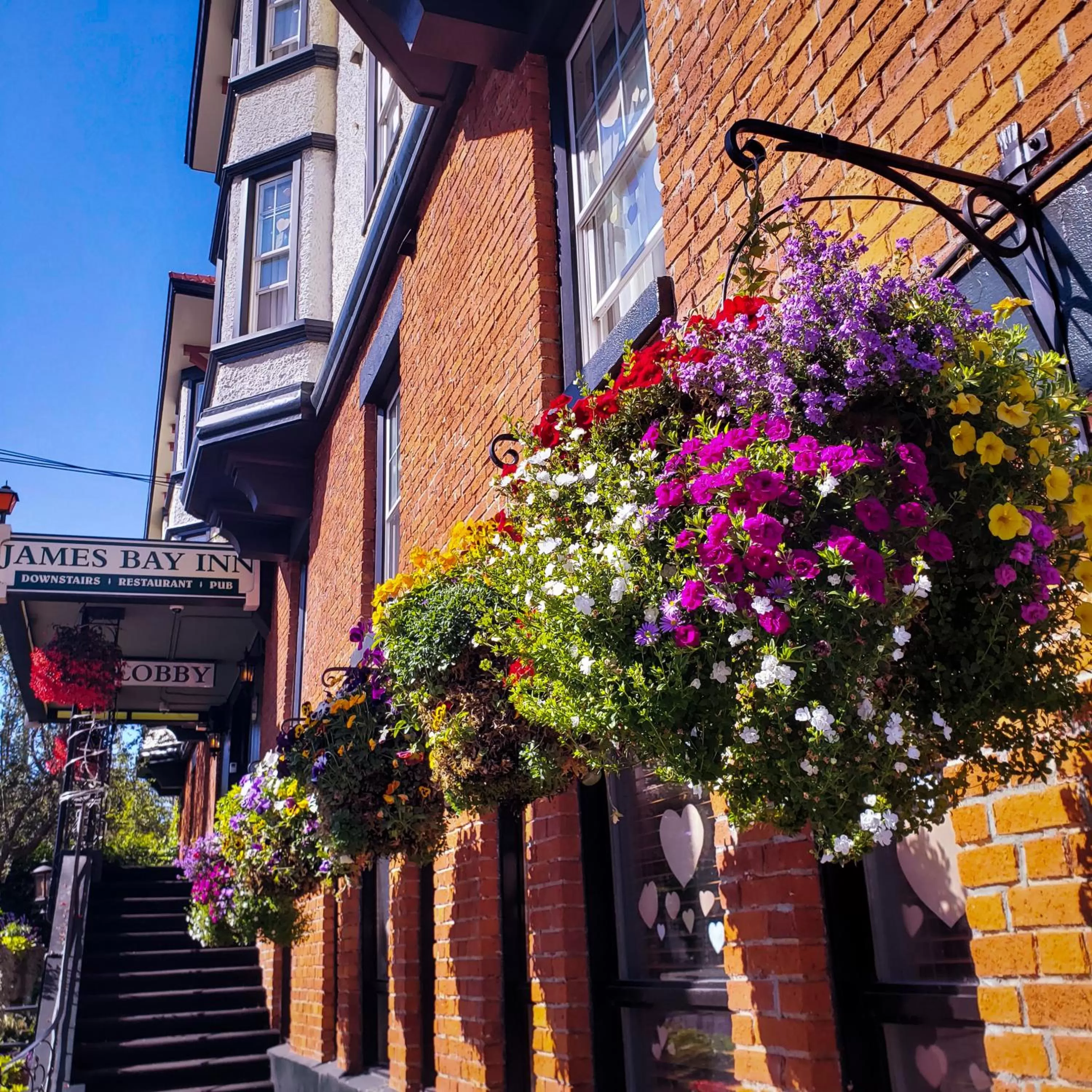 Property building in James Bay Inn Hotel, Suites & Cottage