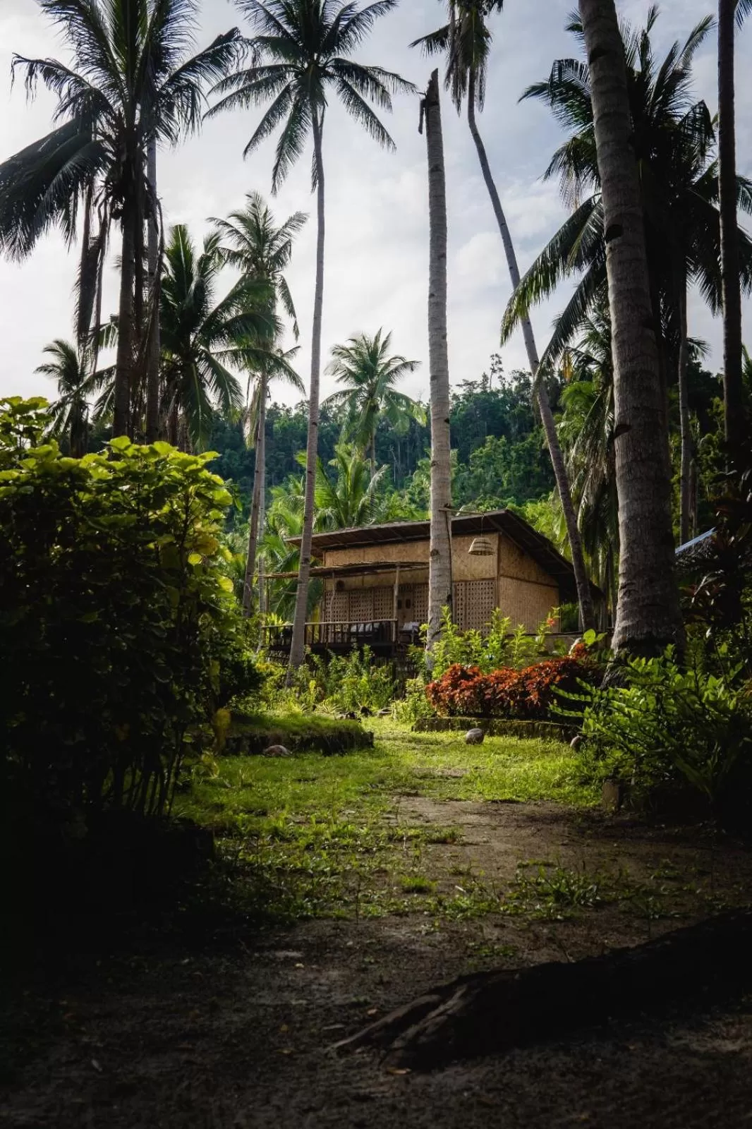 Property Building in Prince John beachfront cottages and Restaurant