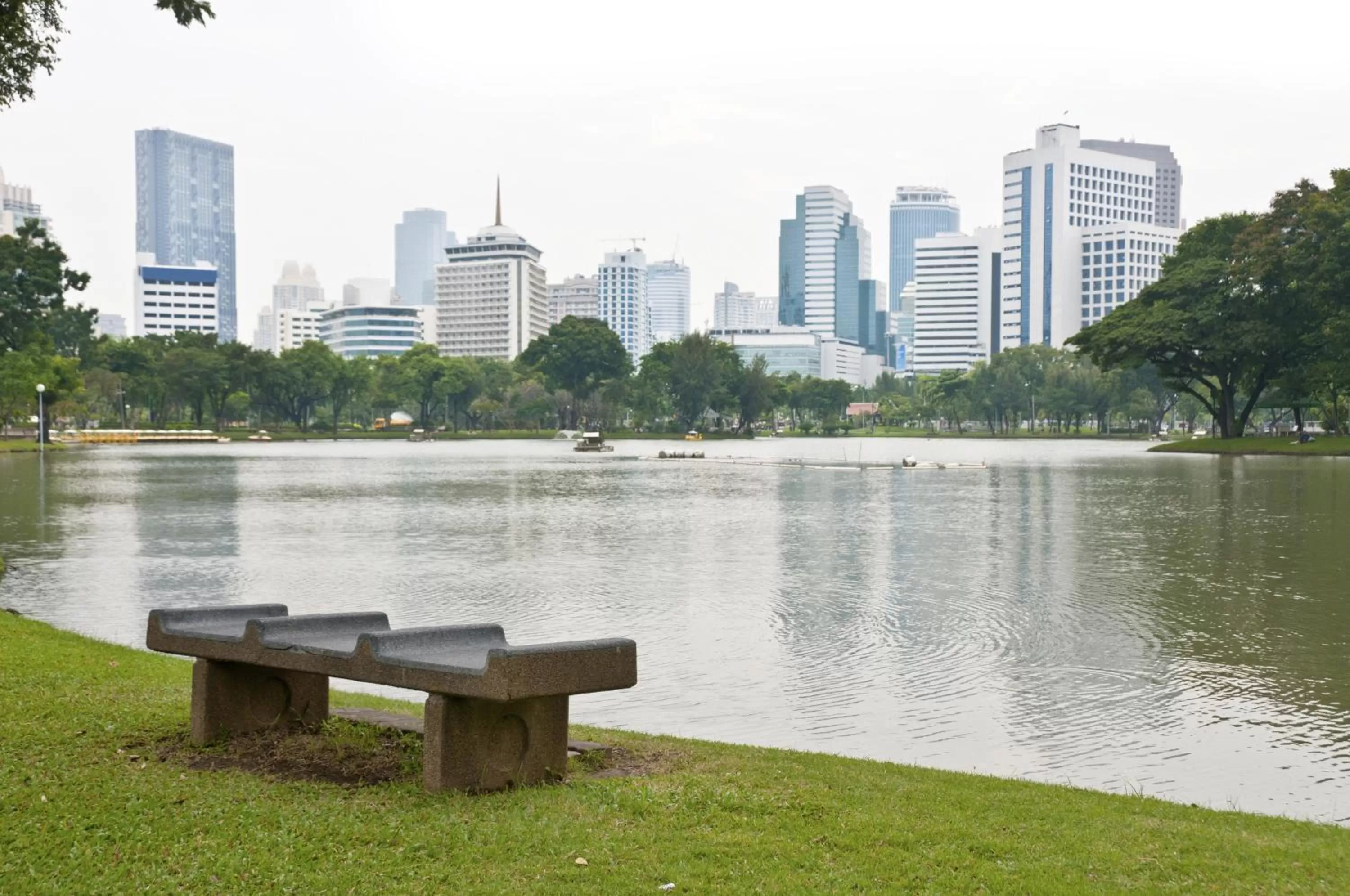 Natural landscape in Centre Point Hotel Chidlom Bangkok