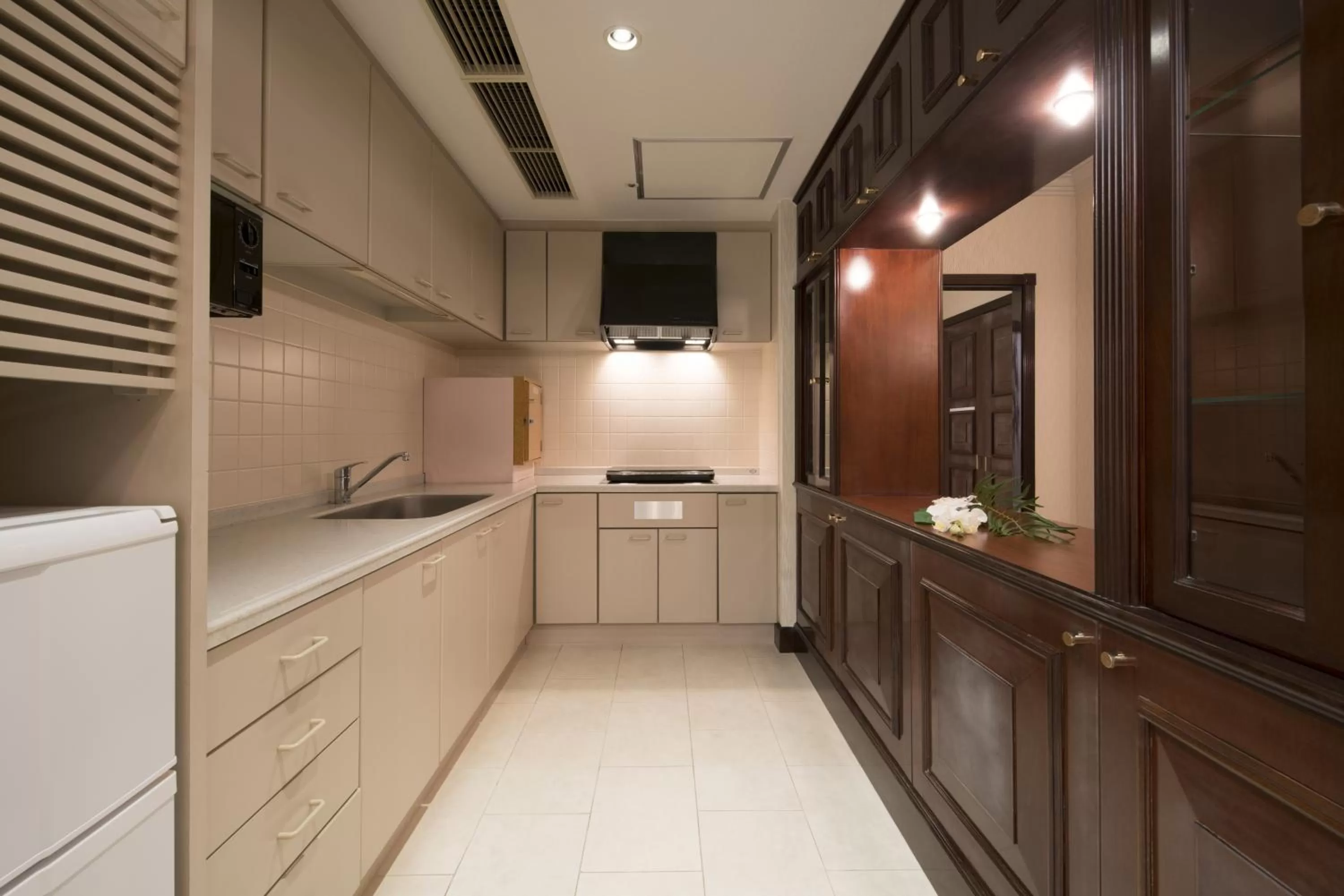 Kitchen or kitchenette in Hotel Alps