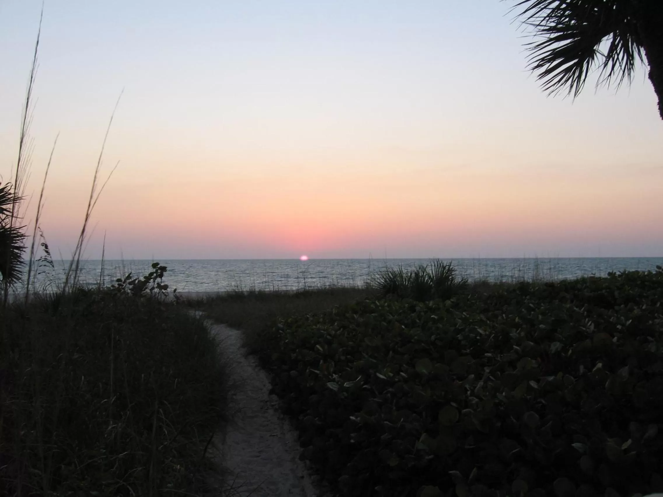 Beach in A Beach Retreat on Casey Key