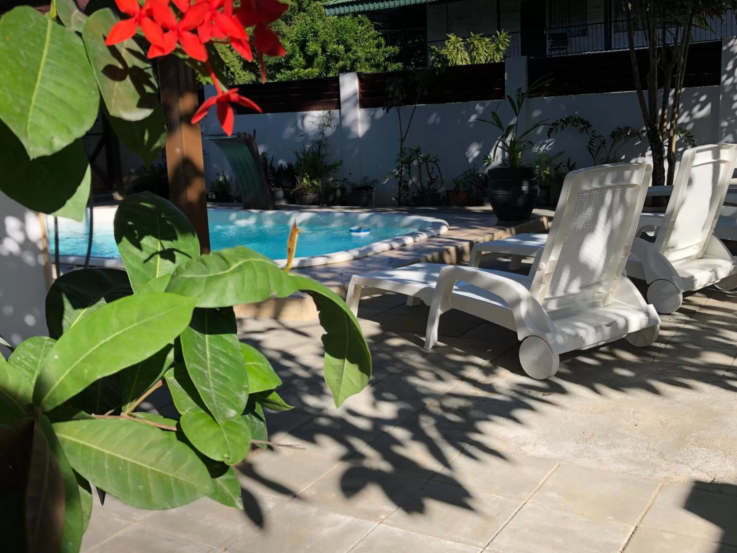 Swimming Pool in Villa Famiri Boutique hotel