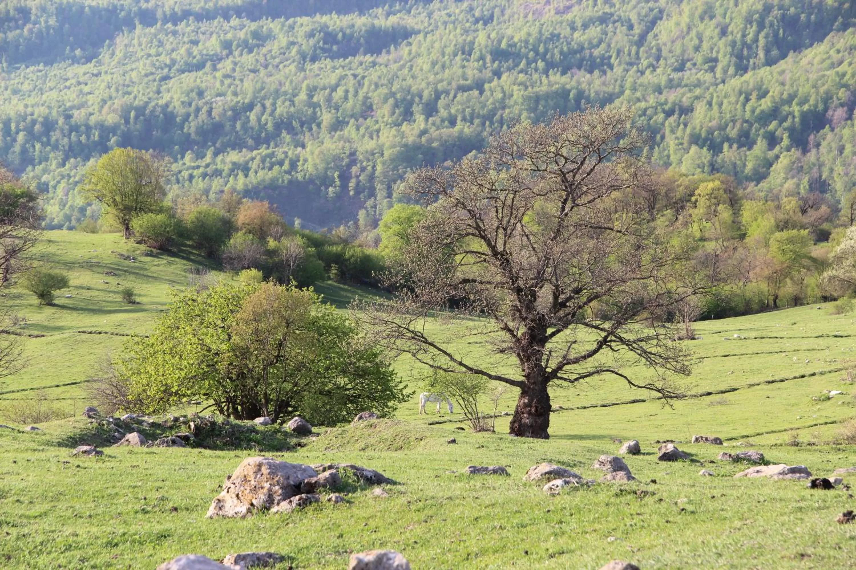 View (from property/room), Natural Landscape in Apaga Resort