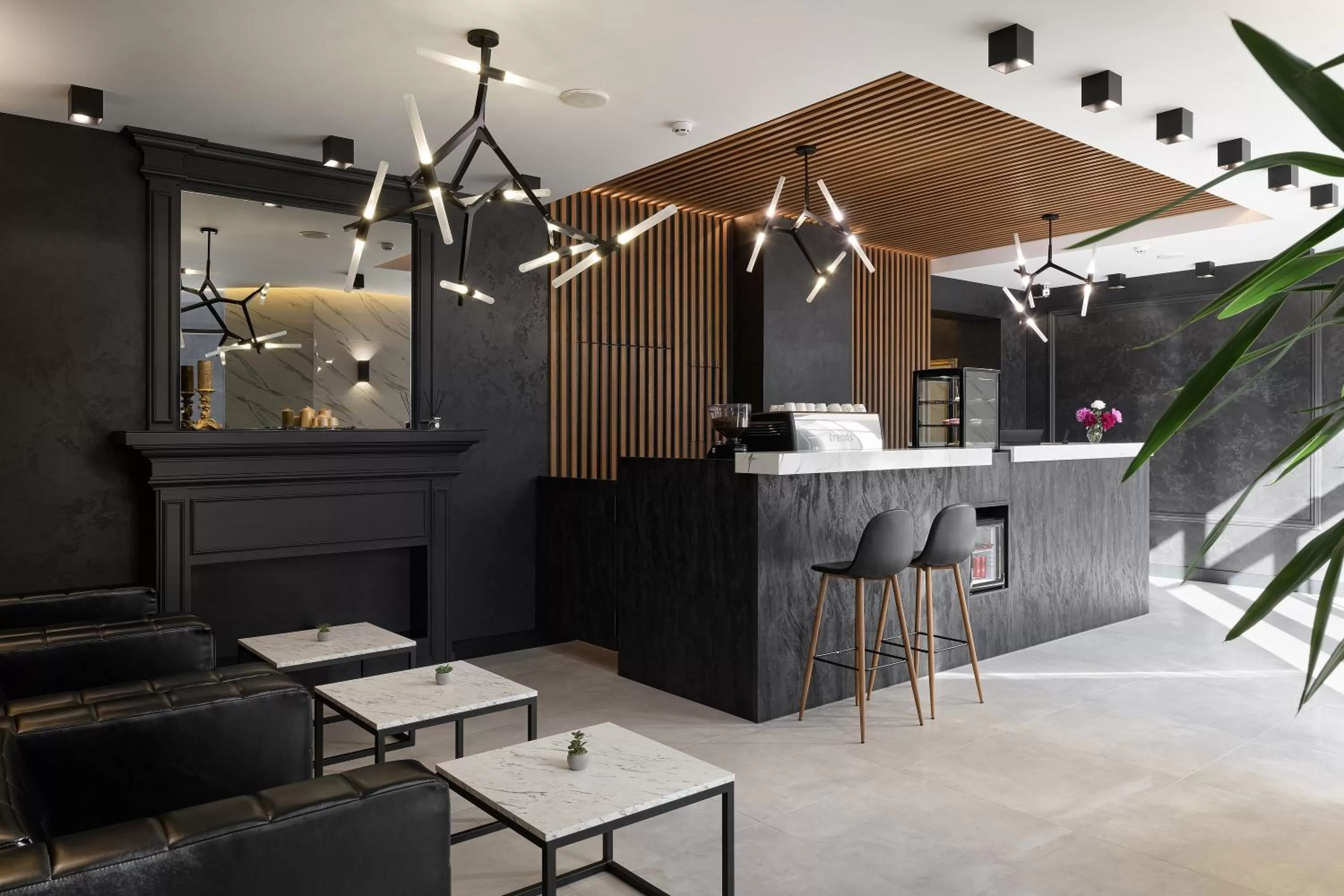 Lobby or reception in Ribas Rooms Bila Tserkva