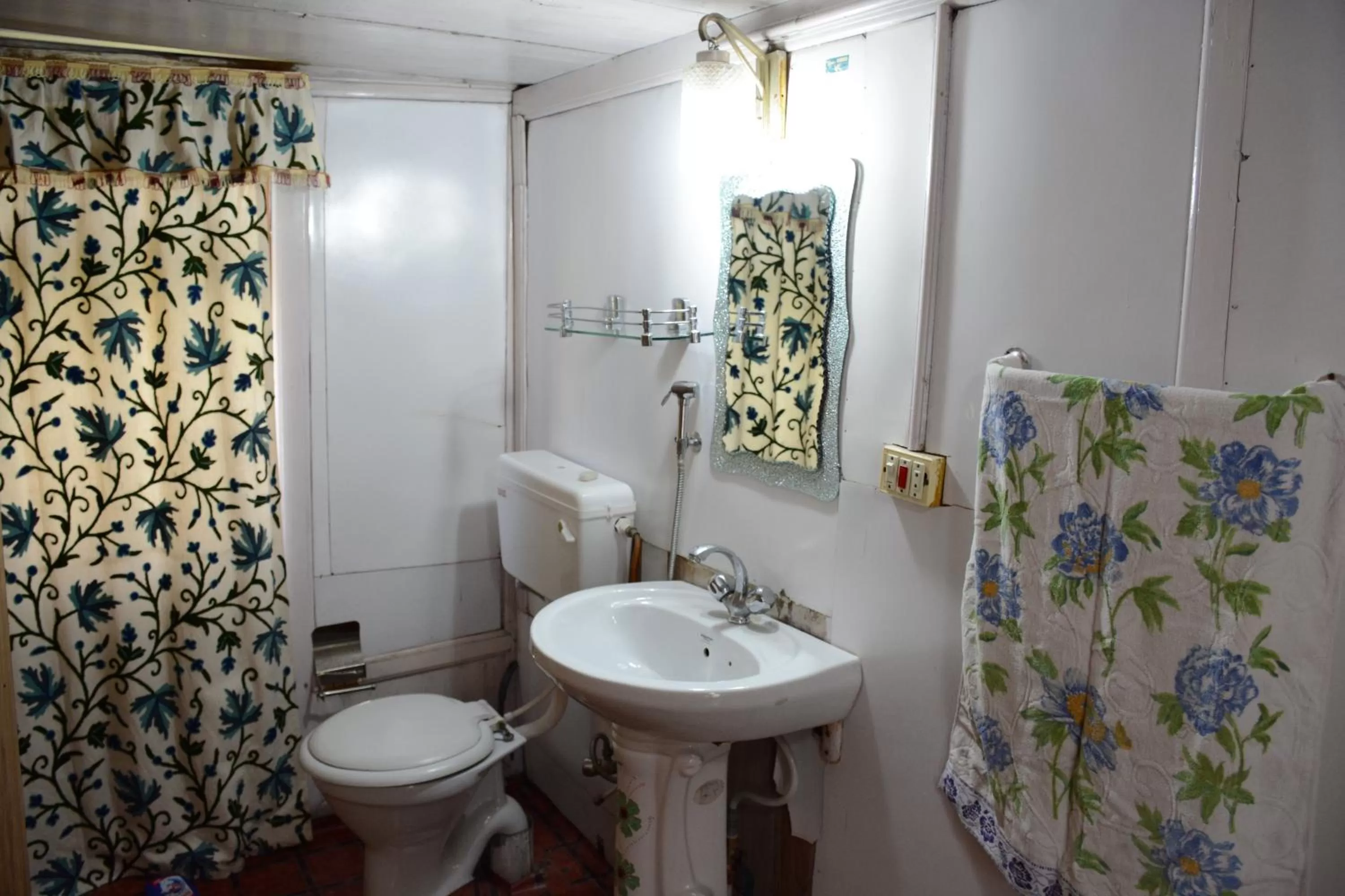 Toilet in Houseboat Zaindari Palace