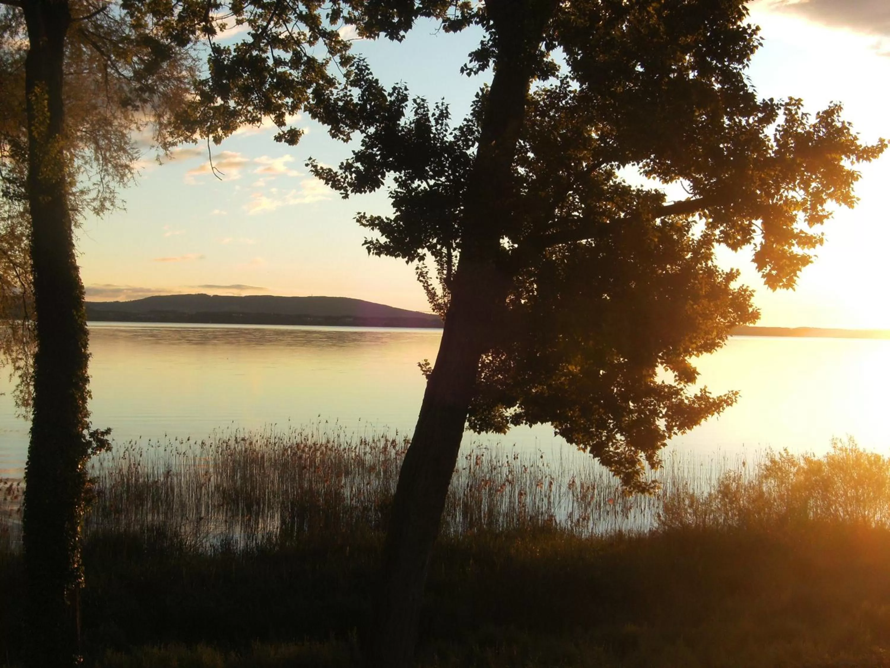 View (from property/room) in Hotel Restaurant Sokrates