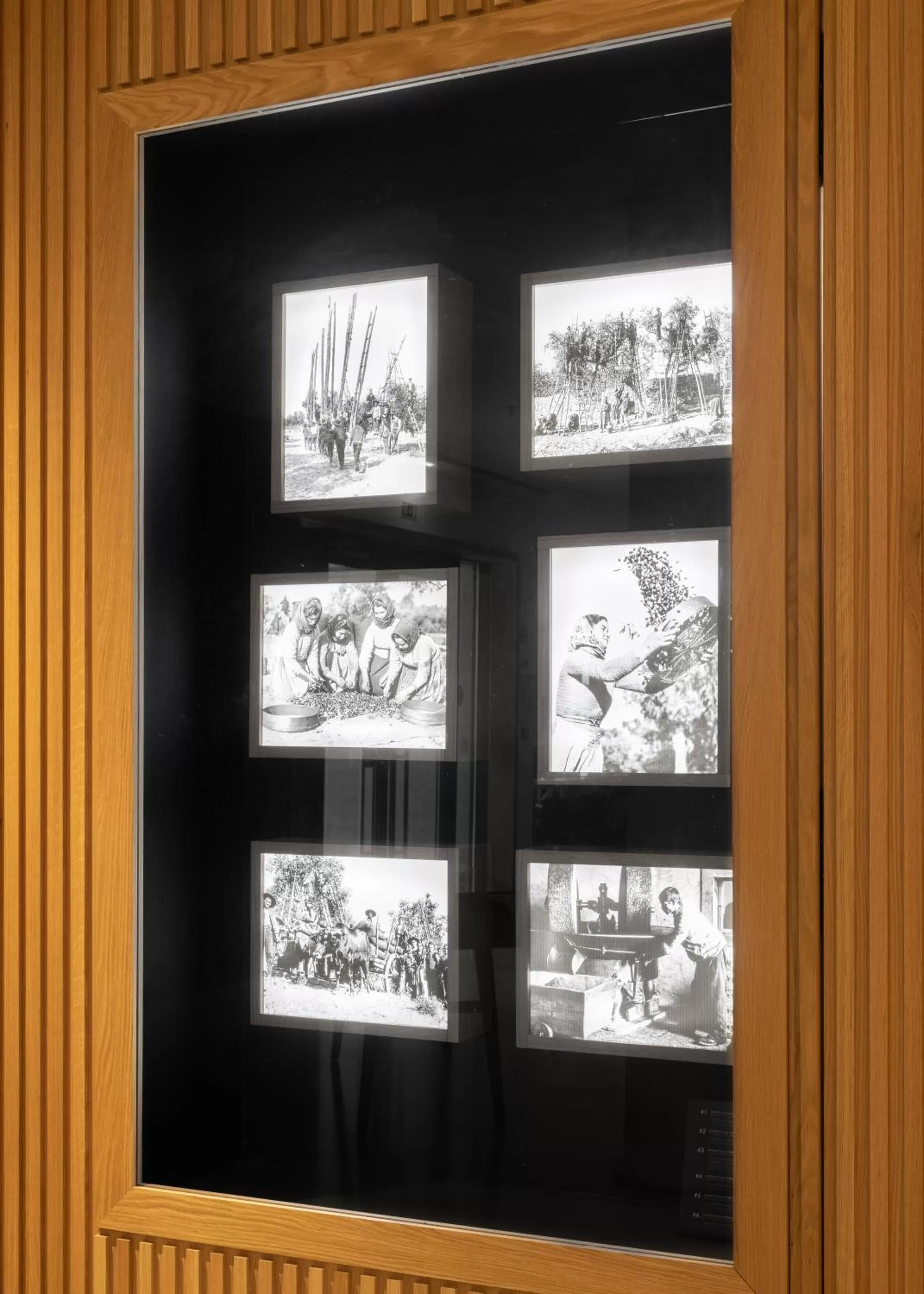 Decorative detail in Evora Olive Hotel