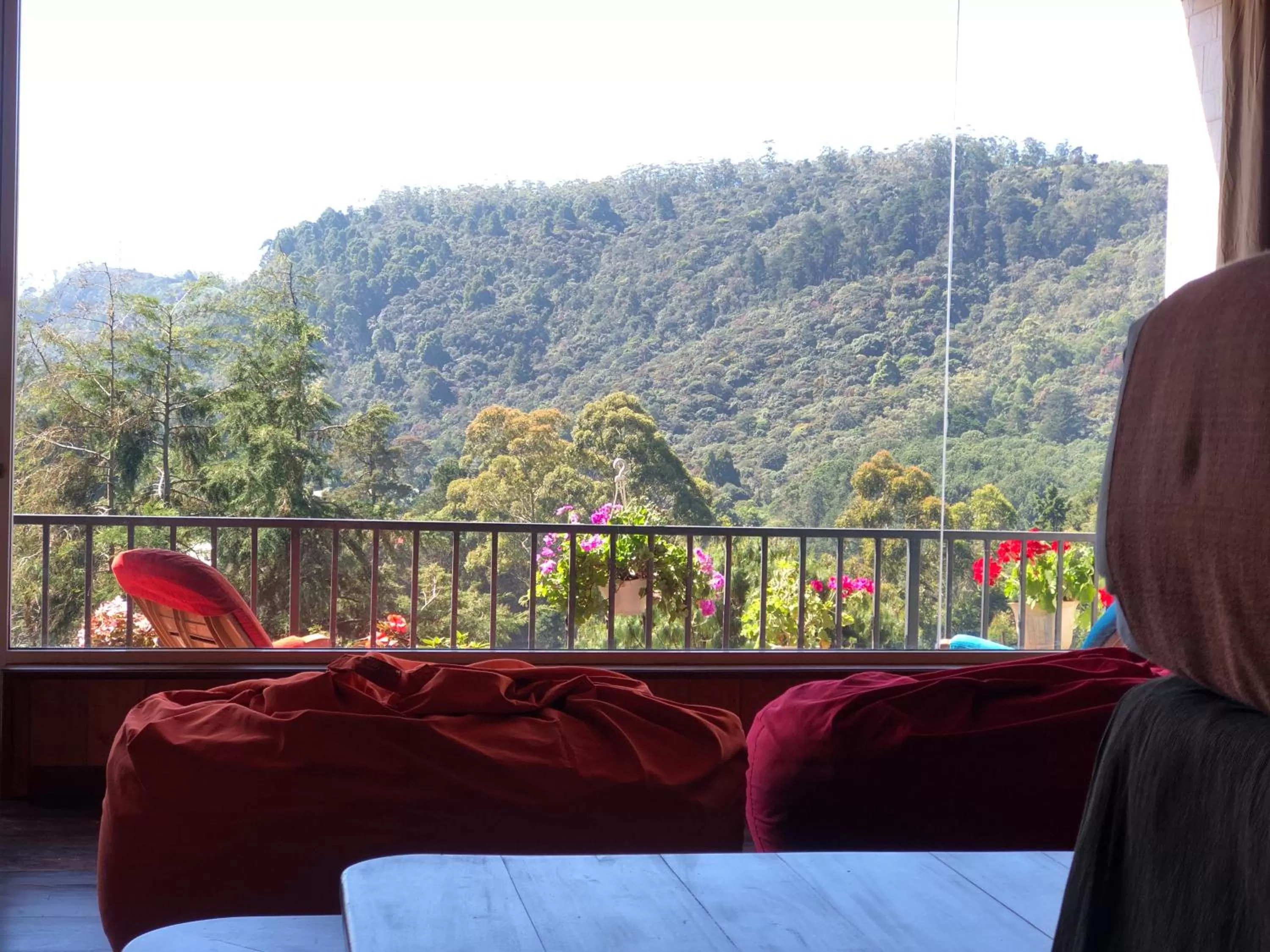 Mountain View in Pigeons Nest