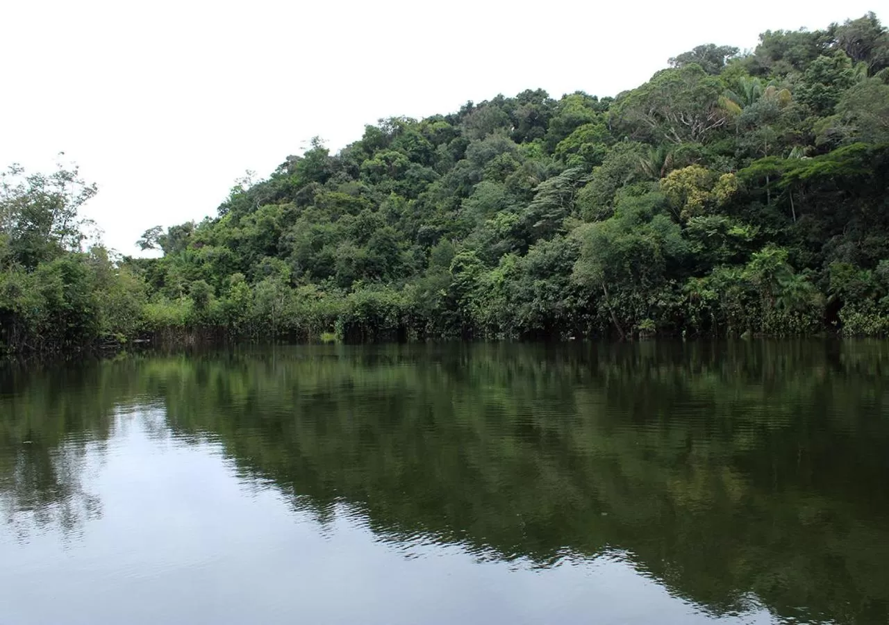 Natural landscape in Uiara Amazon Resort