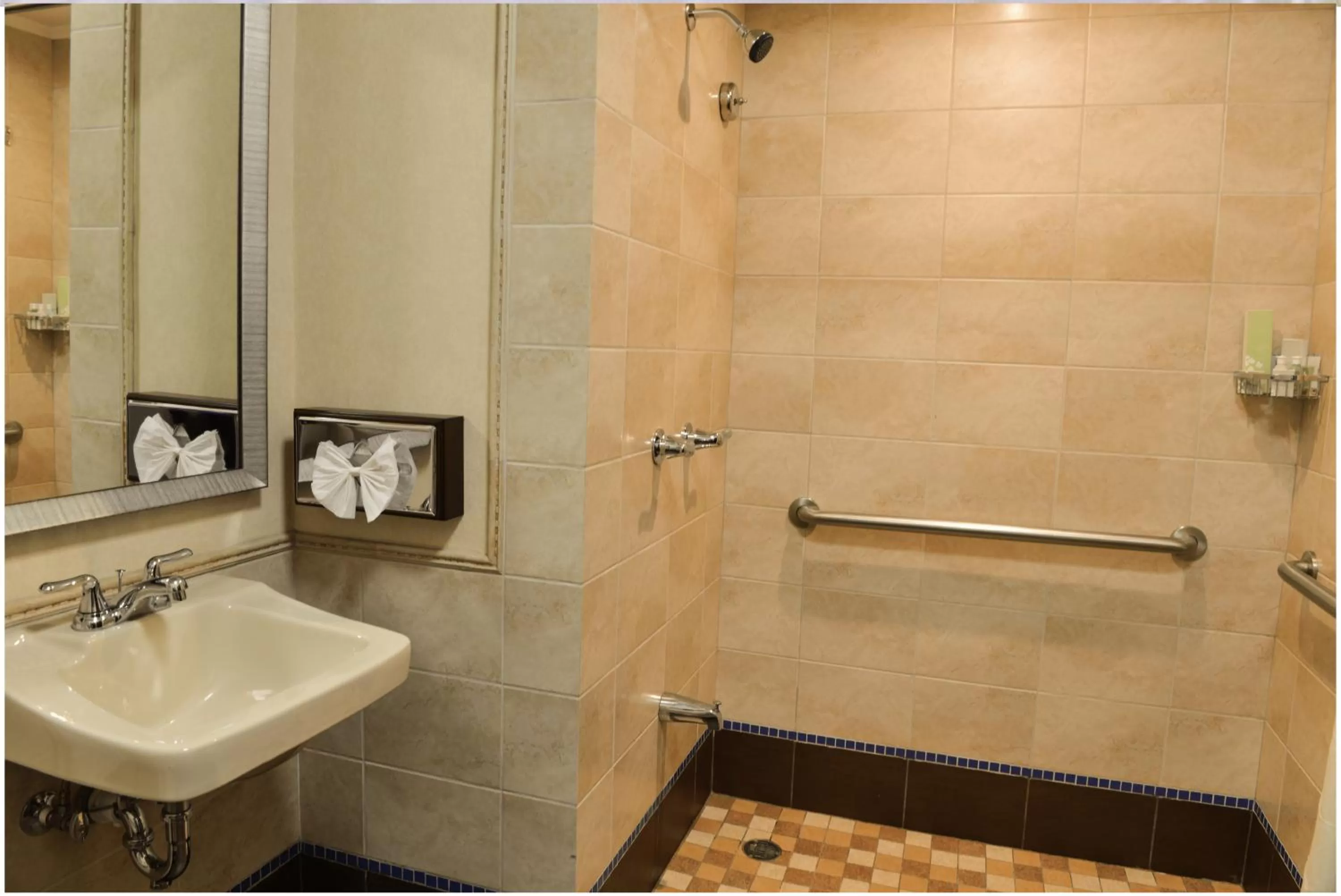 Hotel Plaza Juan Carlos