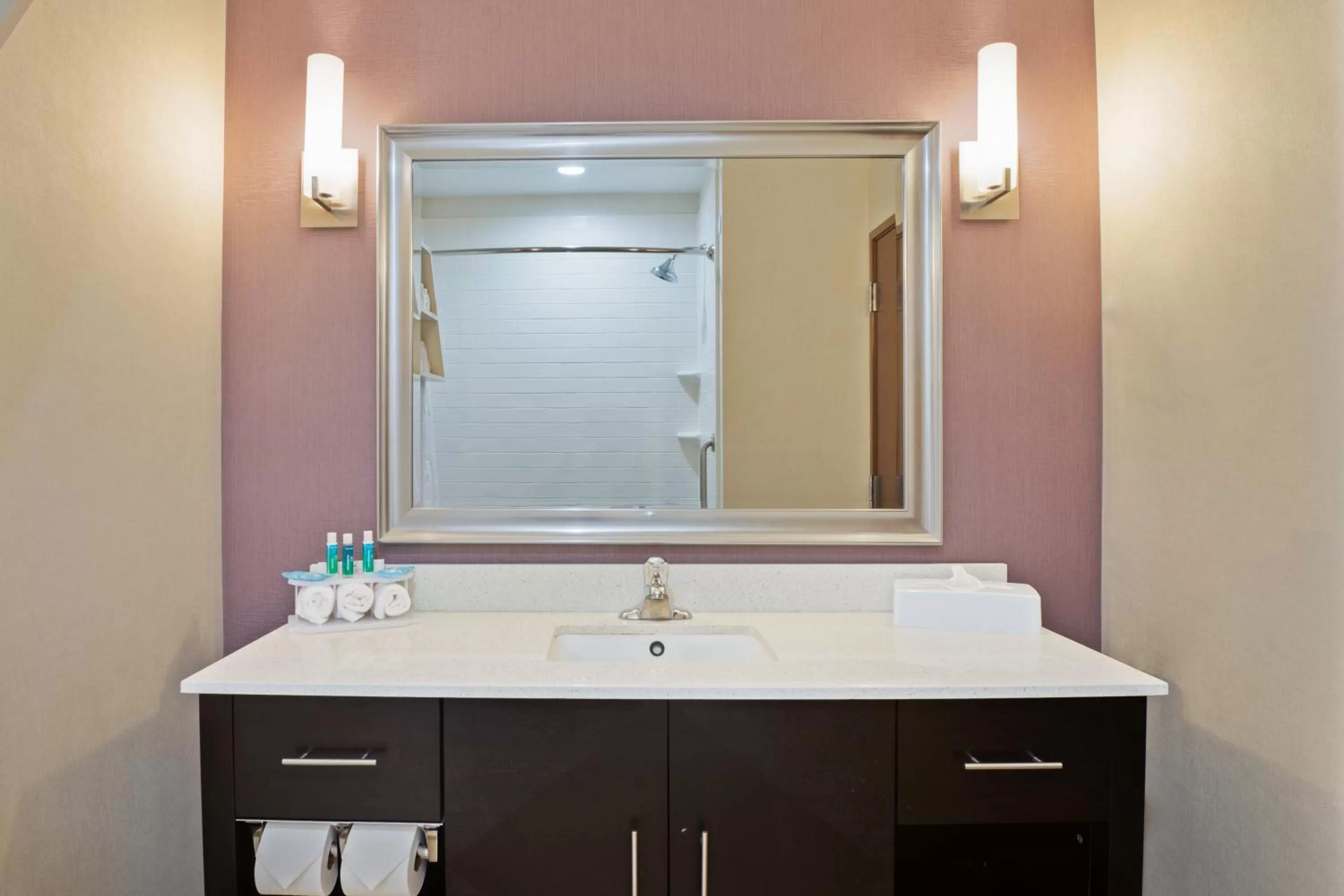 Bathroom in Holiday Inn Express & Suites New Cumberland by IHG