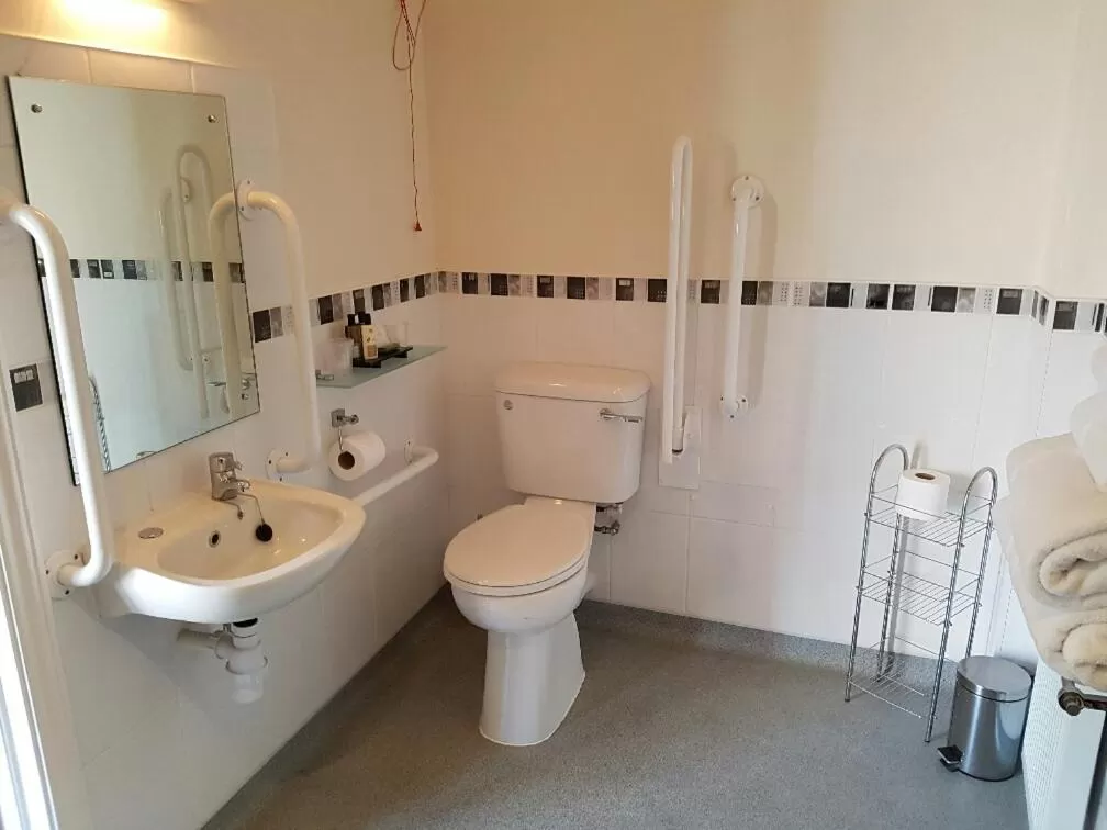 Toilet in Springfields