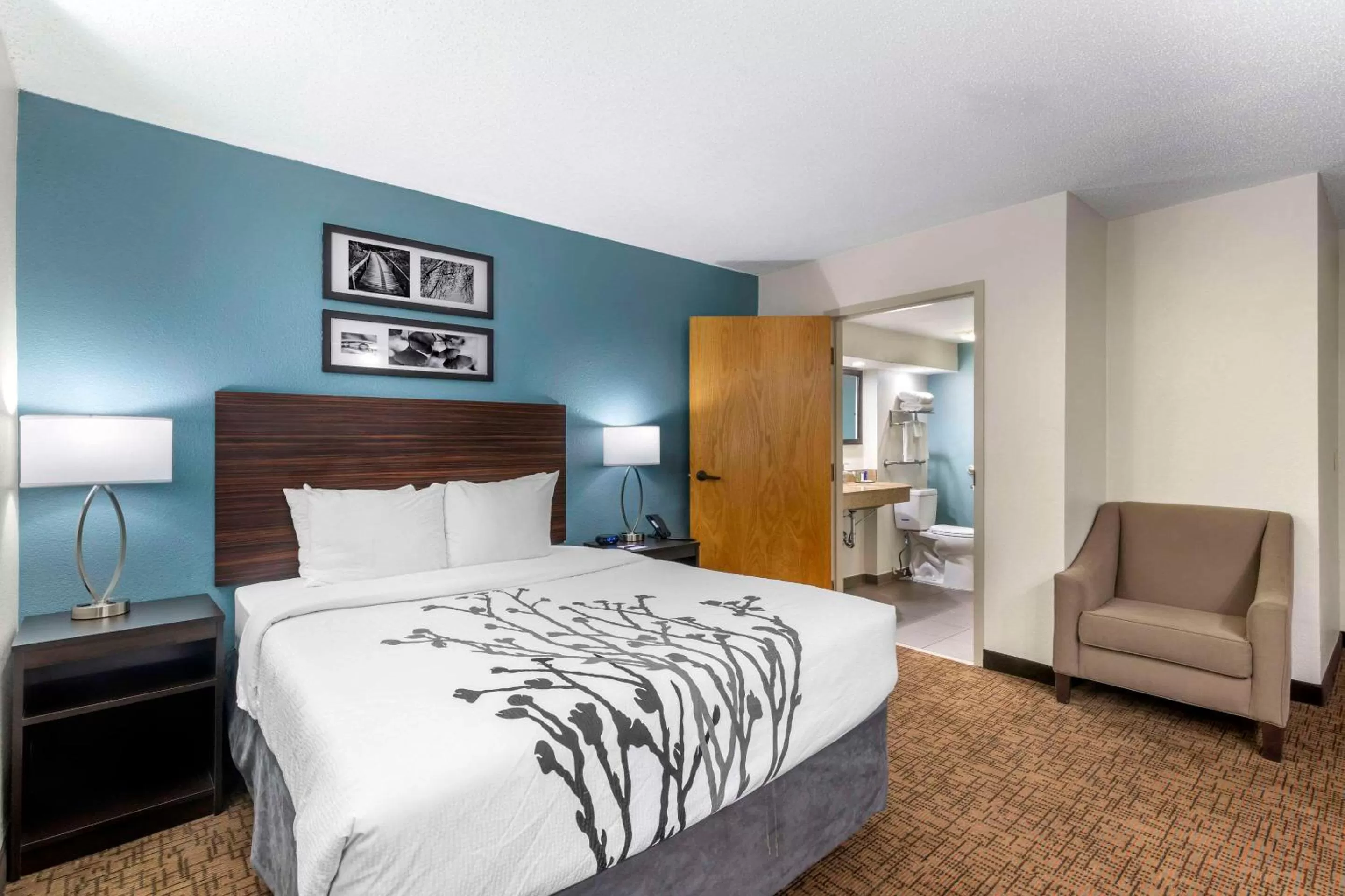 Bedroom, Bed in Sleep Inn Mt Pleasant - Charleston