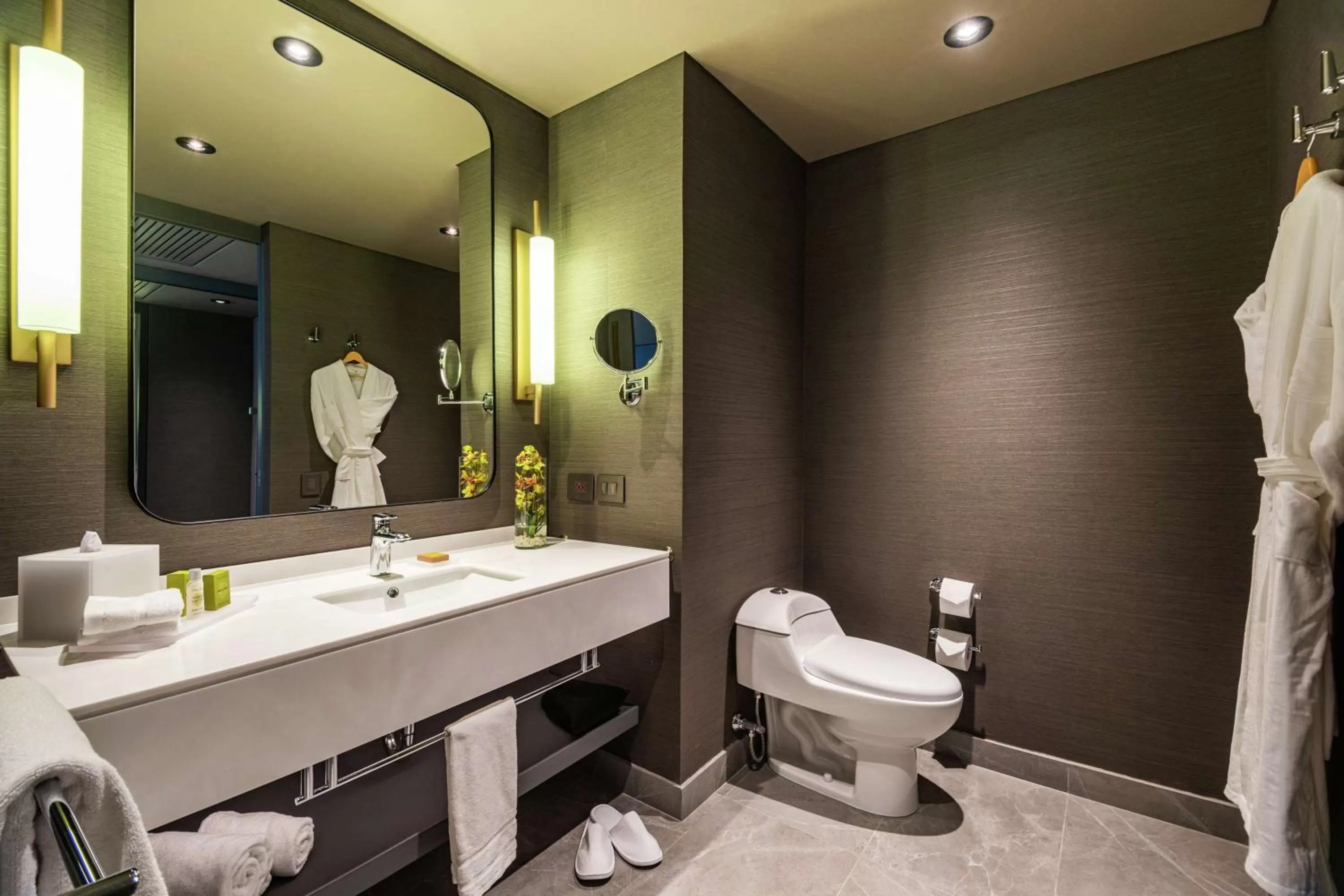 Toilet in Hilton Bogota Corferias