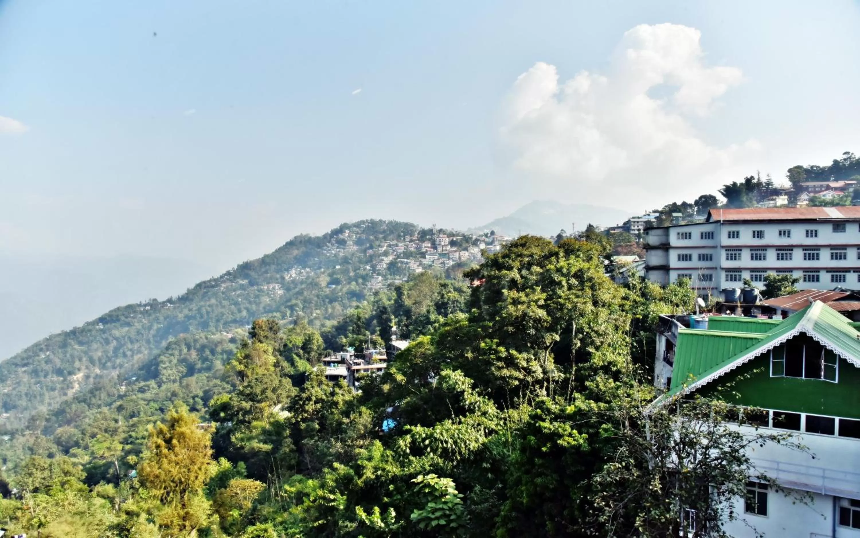 Neighbourhood in Sood's Himalayan Vista