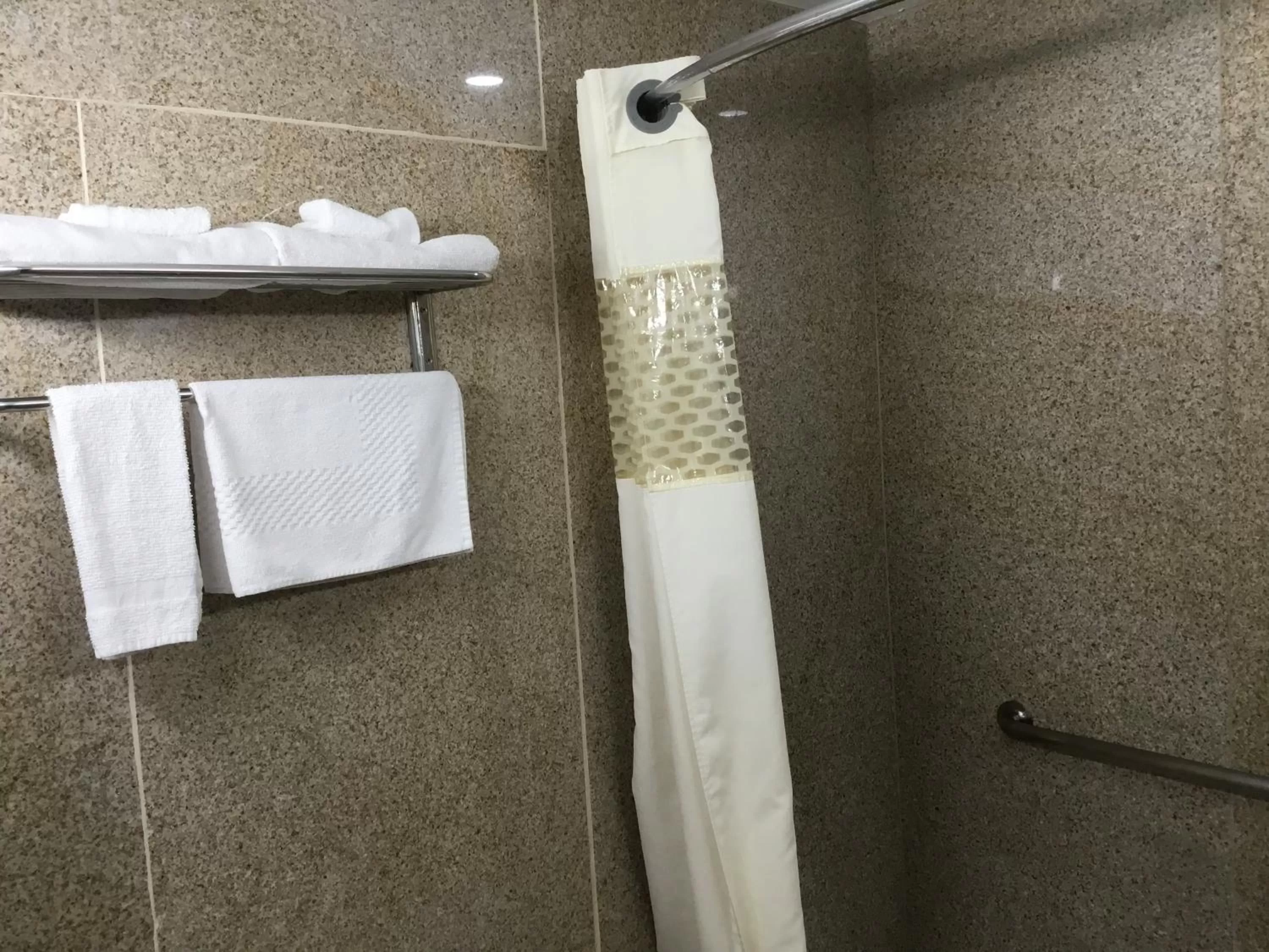 Bathroom in Budget Inn Plainview