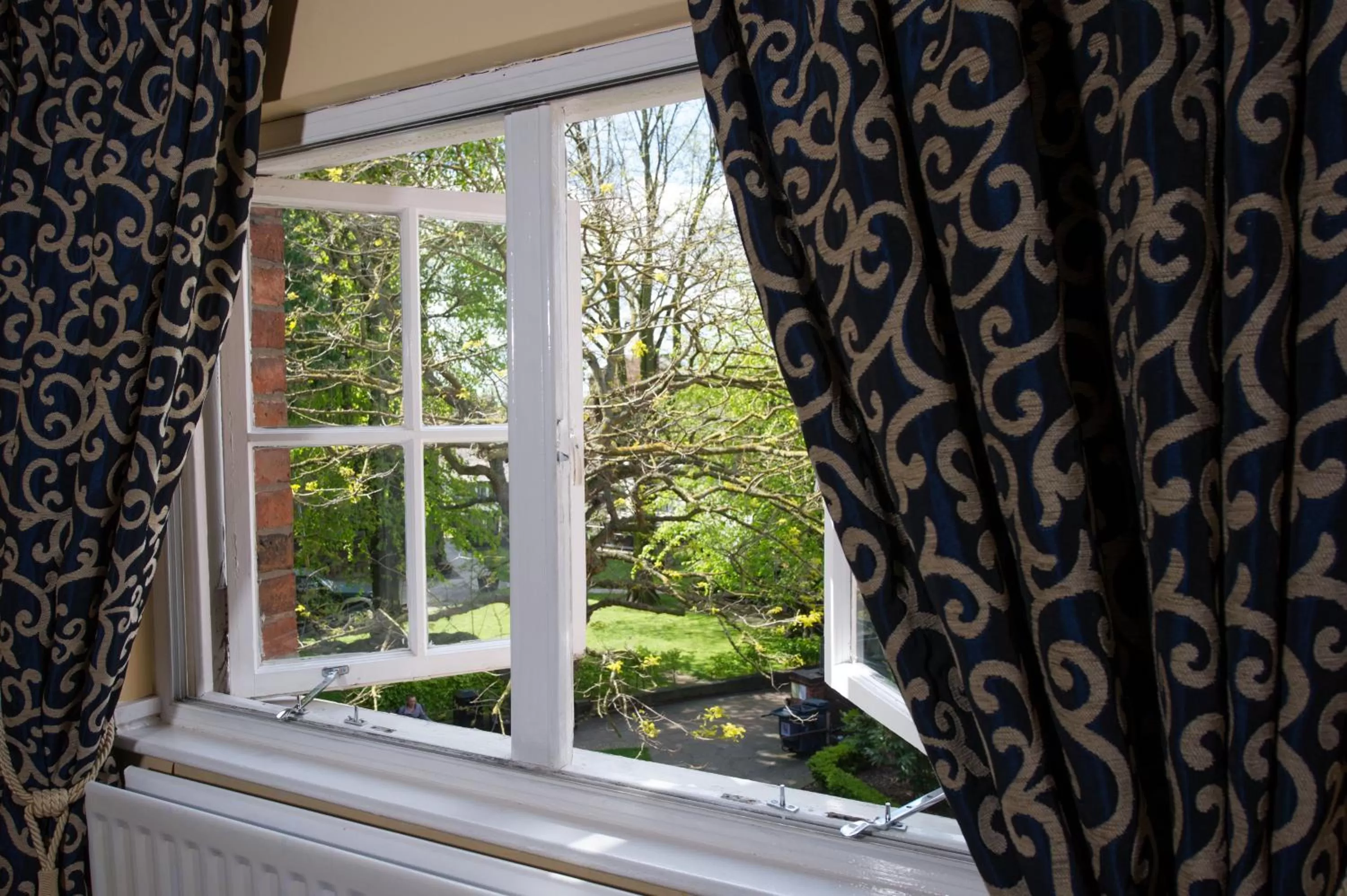 View (from property/room) in Prince Rupert Hotel